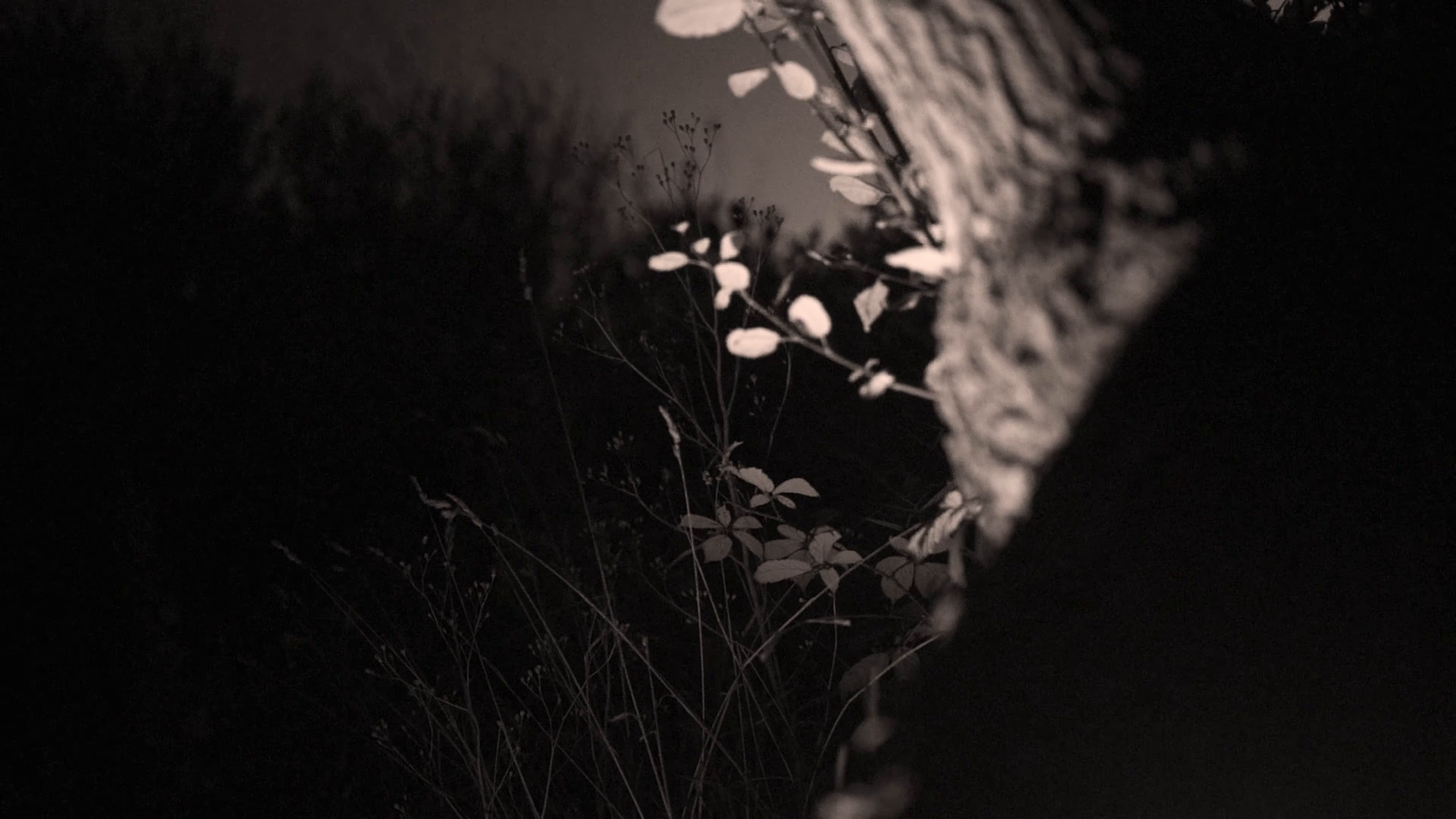 The Mercy of The Hagetisse (2025) —  shot,  lighting