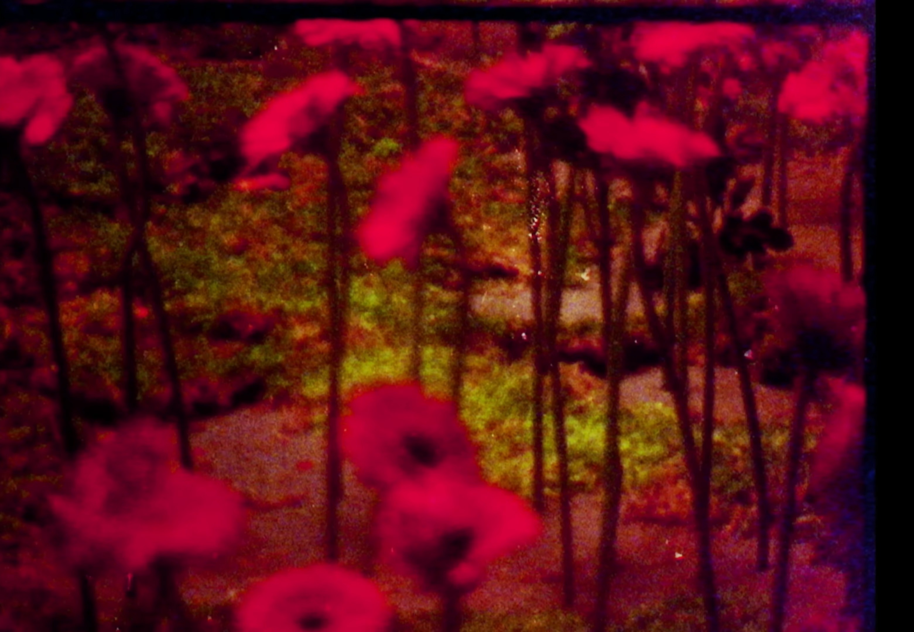 Comment on s'aime (2024) —  shot,  lighting