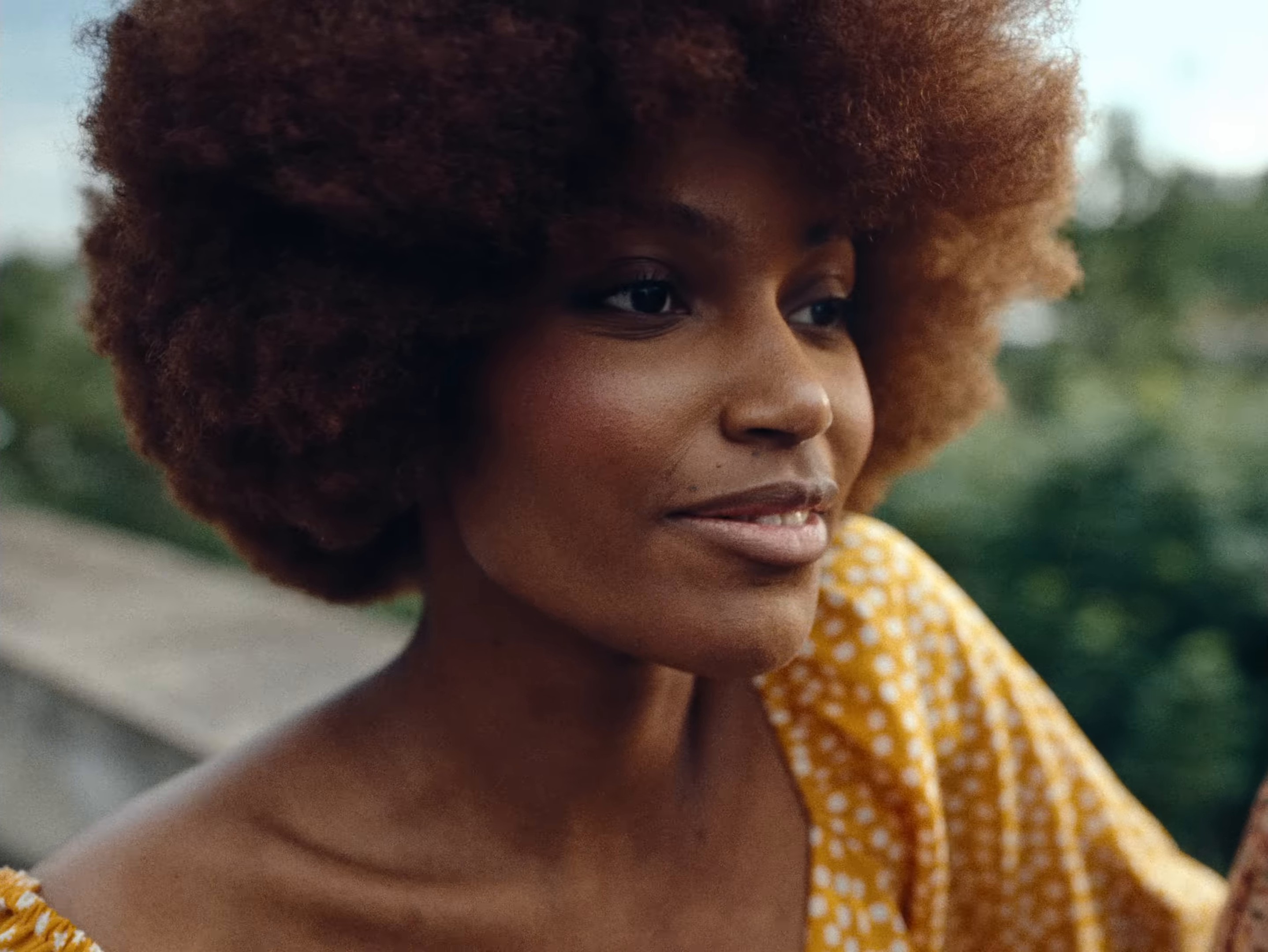 The Morning Sun (2024) —  shot,  lighting