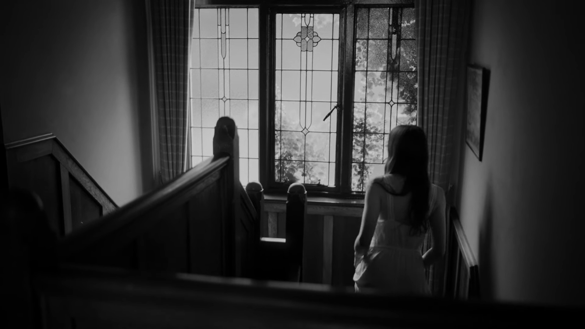 Koalas (2024) —  shot,  lighting