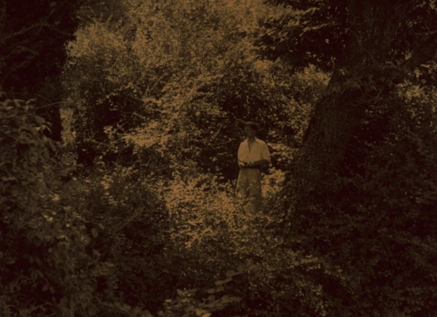 The Vocation of André Carel (1925) —  shot,  lighting