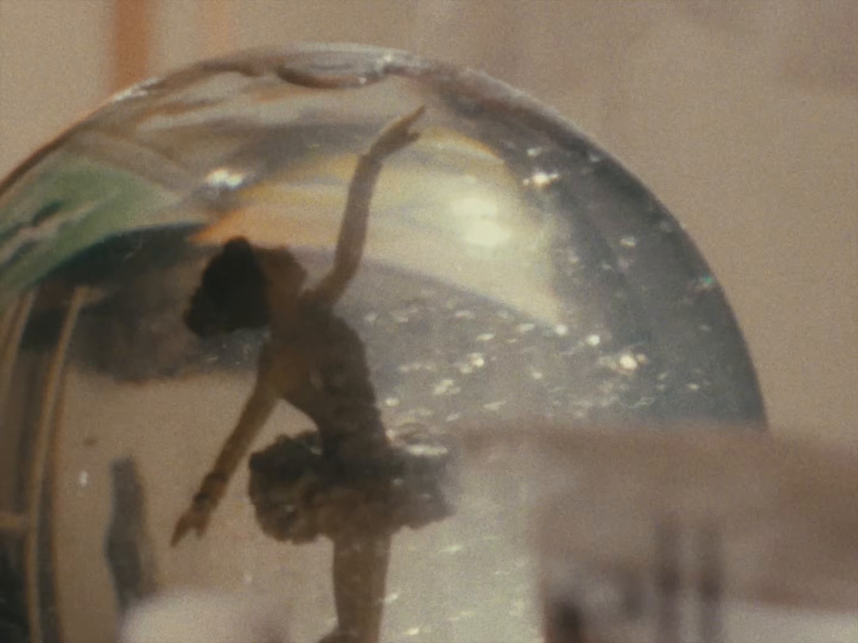 Beyond The Bottom Line (2026) —  shot,  lighting