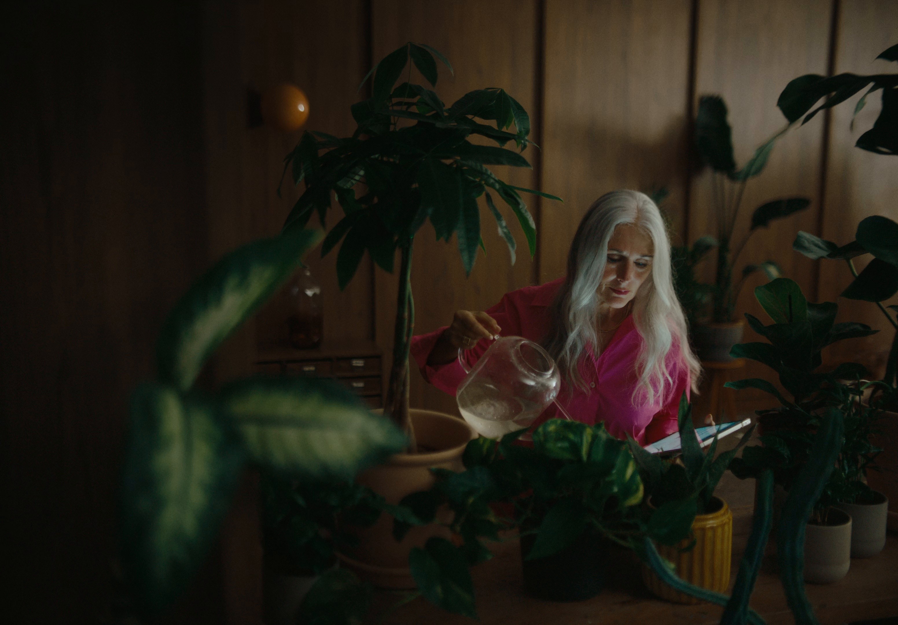 Uoc - Commercial (2024) —  shot,  lighting