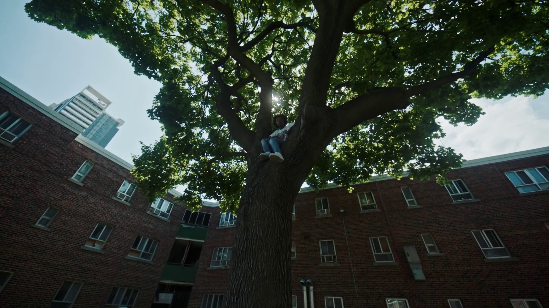 Air Forces (2020) —  shot,  lighting