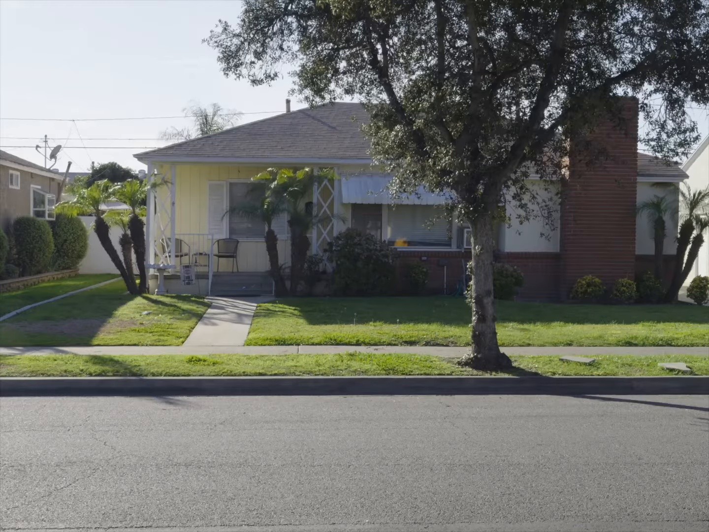 Venice Beach (2026) —  shot,  lighting