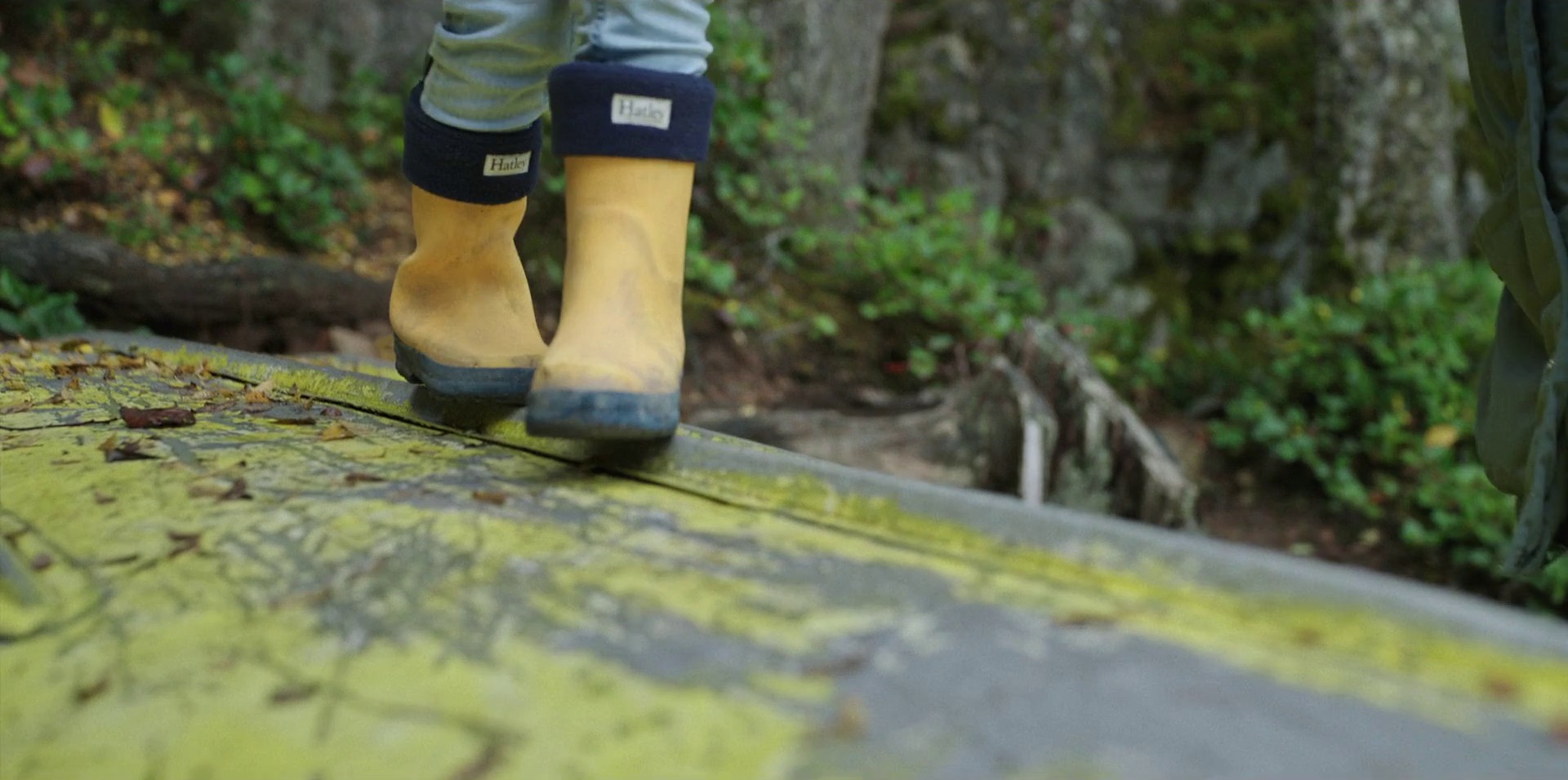 Cashmere (2021) —  shot,  lighting