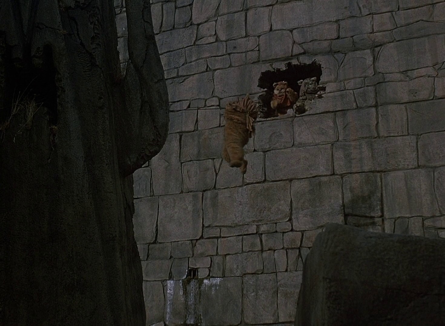 Ewoks: The Battle for Endor (1985) —  shot,  lighting