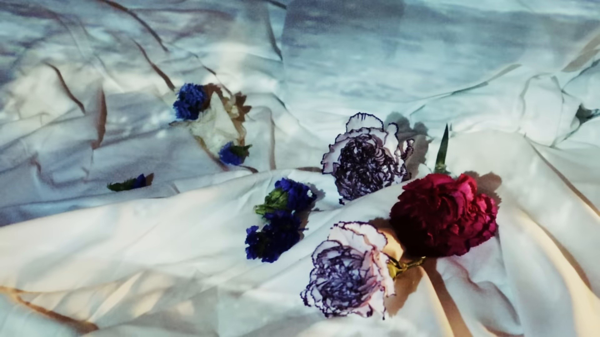 R O M E O (2025) —  shot,  lighting