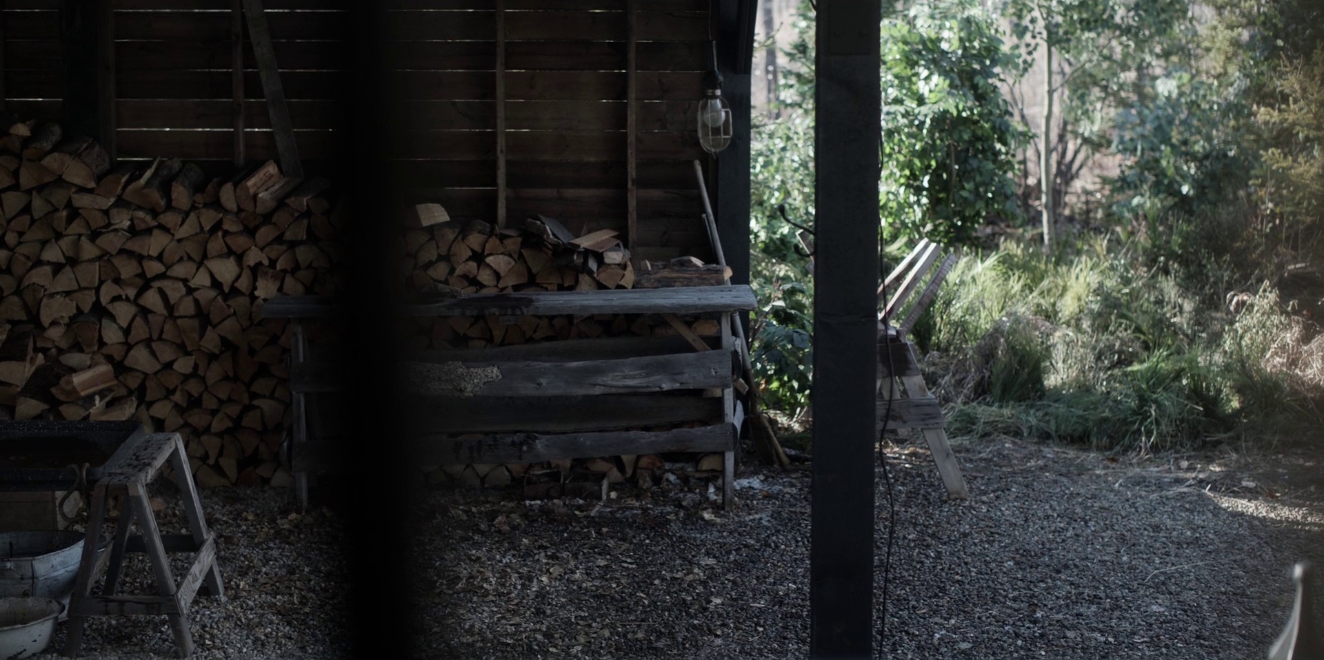 Revelation (2022) —  shot,  lighting