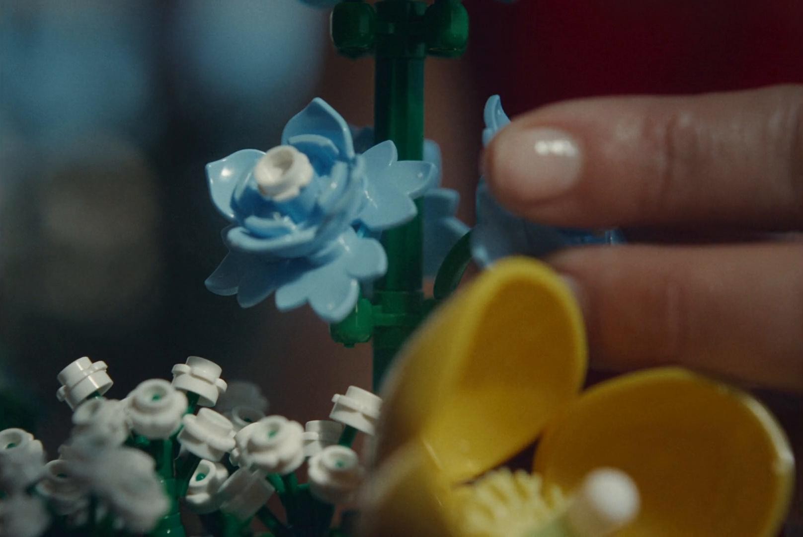 LEGO BOTANICALS: "Valentines Blooms For All" (2025) —  shot,  lighting
