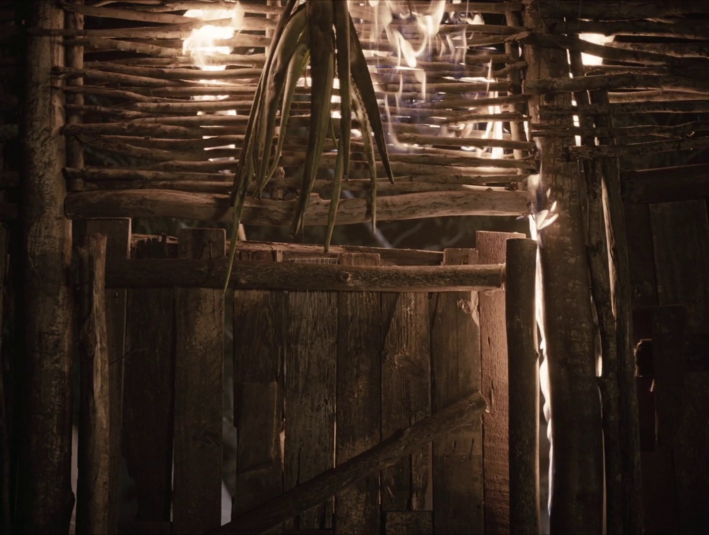 Parsley (2022) —  shot,  lighting