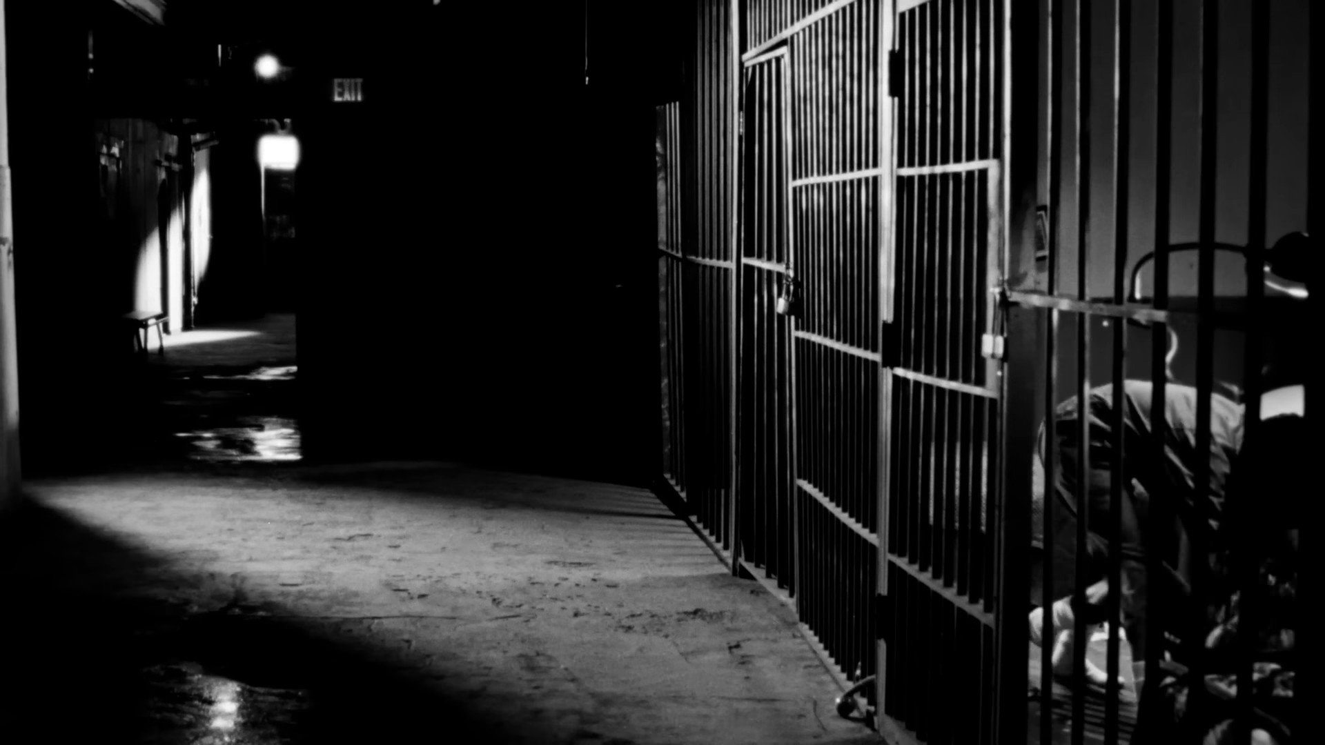 run! (2024) —  shot,  lighting