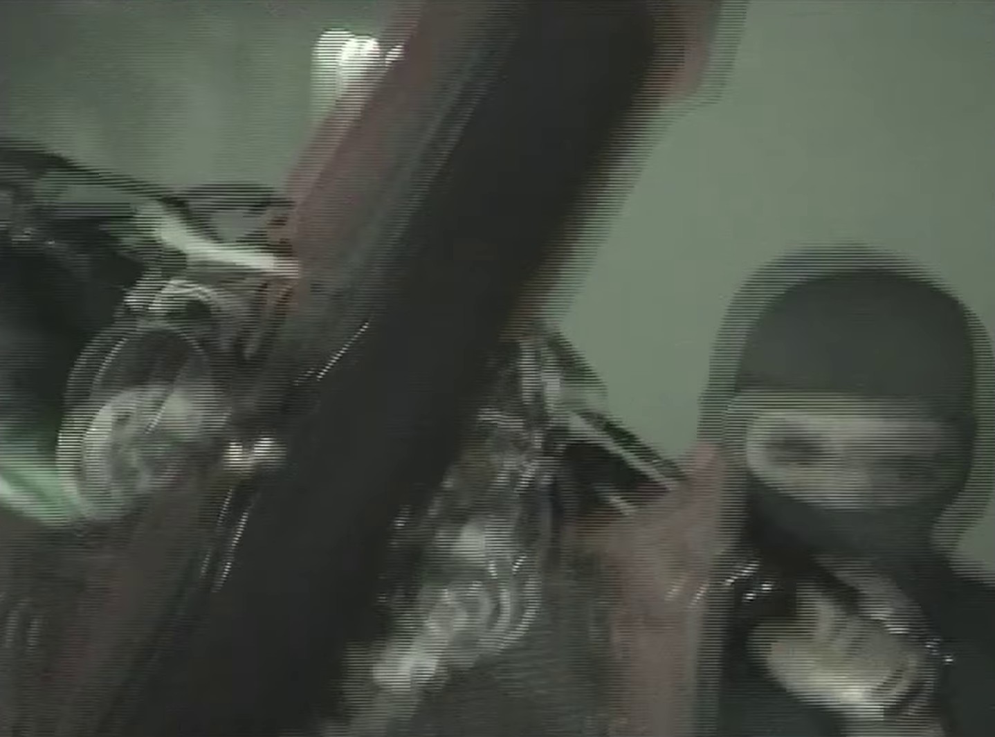 Whatever I Want (2024) —  shot,  lighting