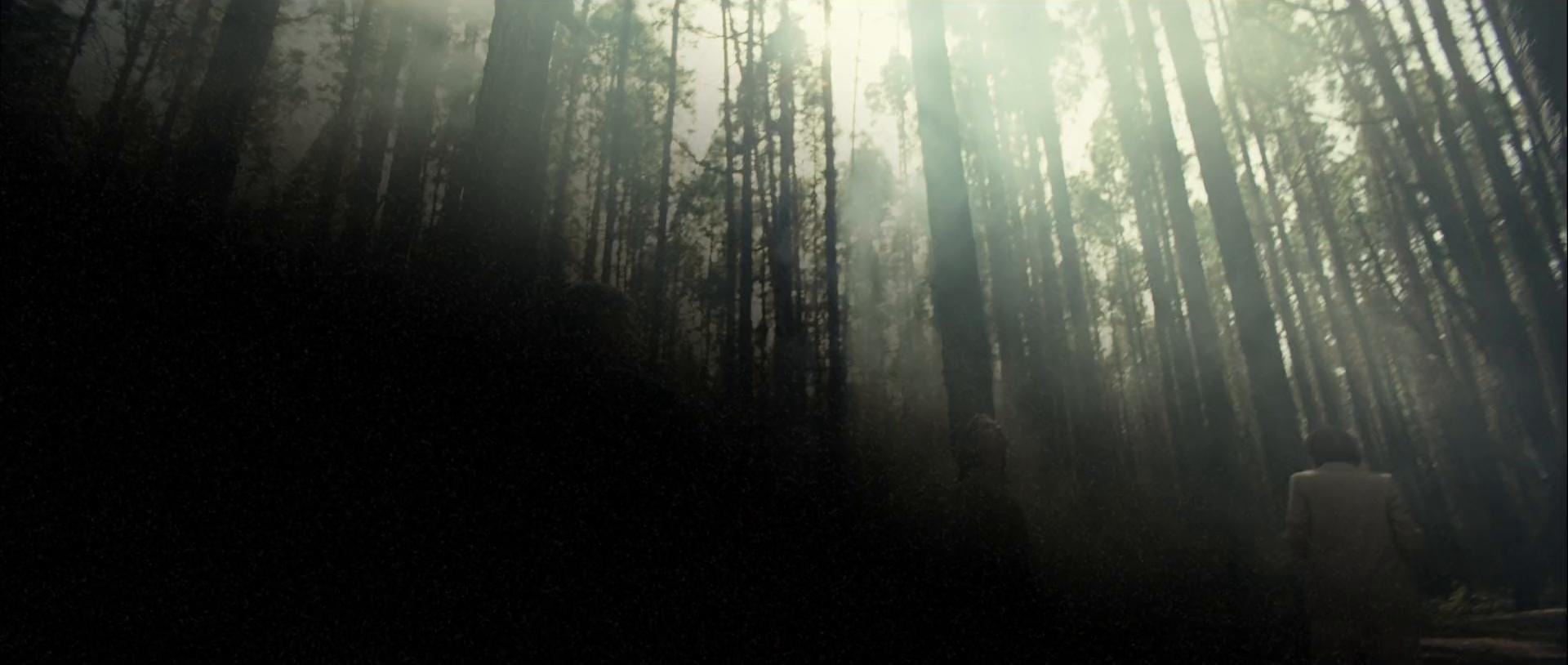 RENAULT - VOYAGE (2025) —  shot,  lighting