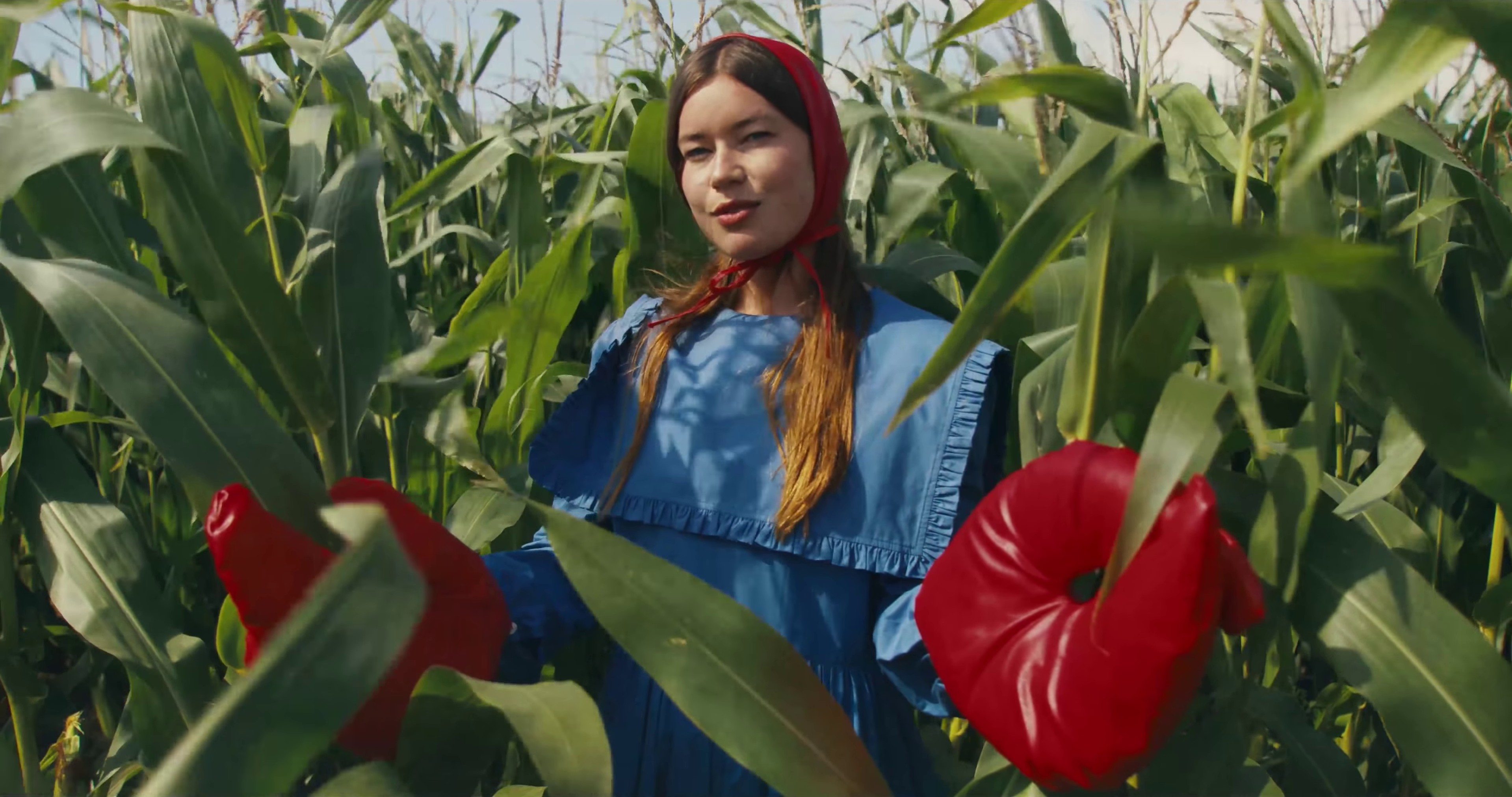 Wet Dream (2021) —  shot,  lighting