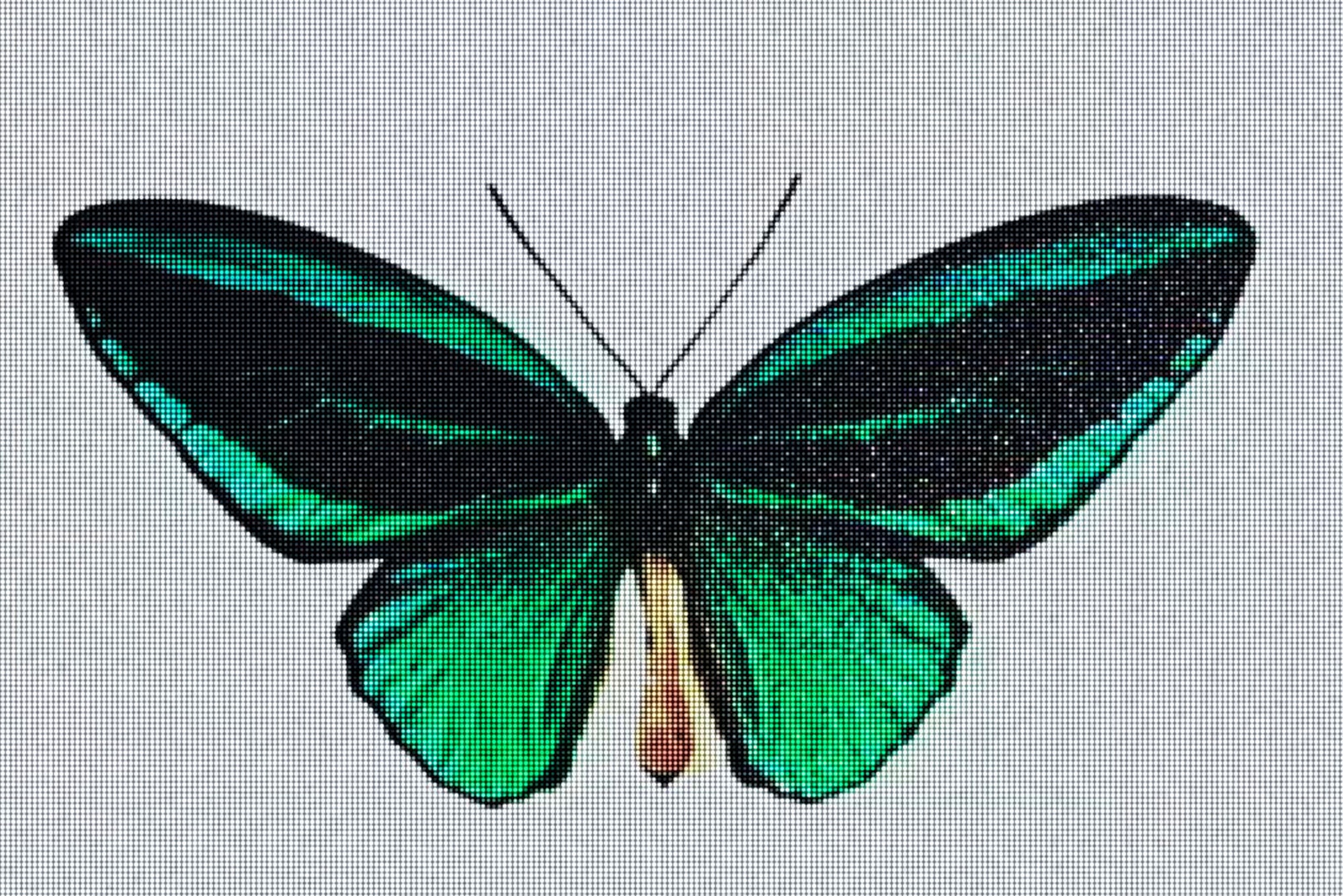 Monde (2025) —  shot,  lighting