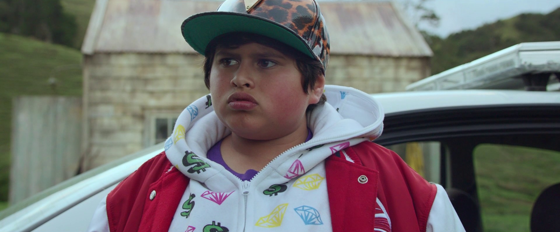 Hunt for the Wilderpeople (2016) —  shot,  lighting