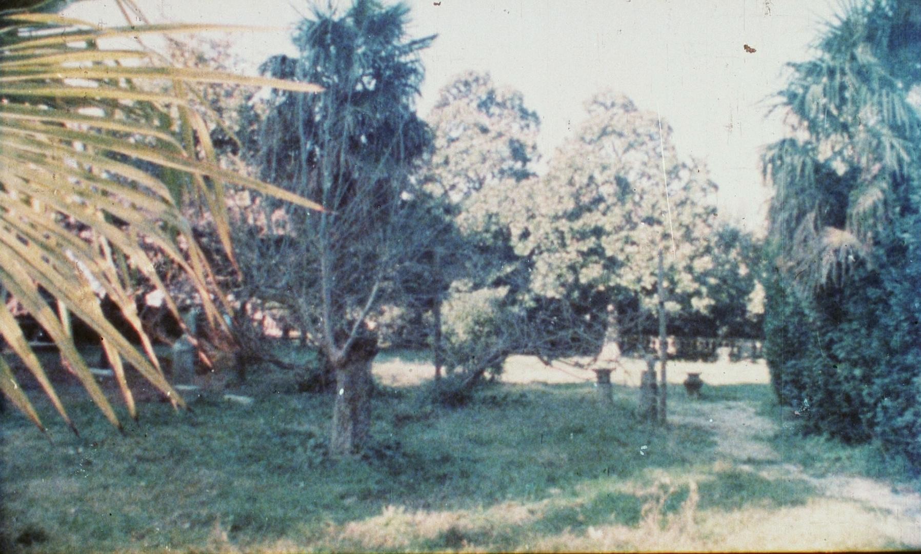 Burial Ground (1985) —  shot,  lighting