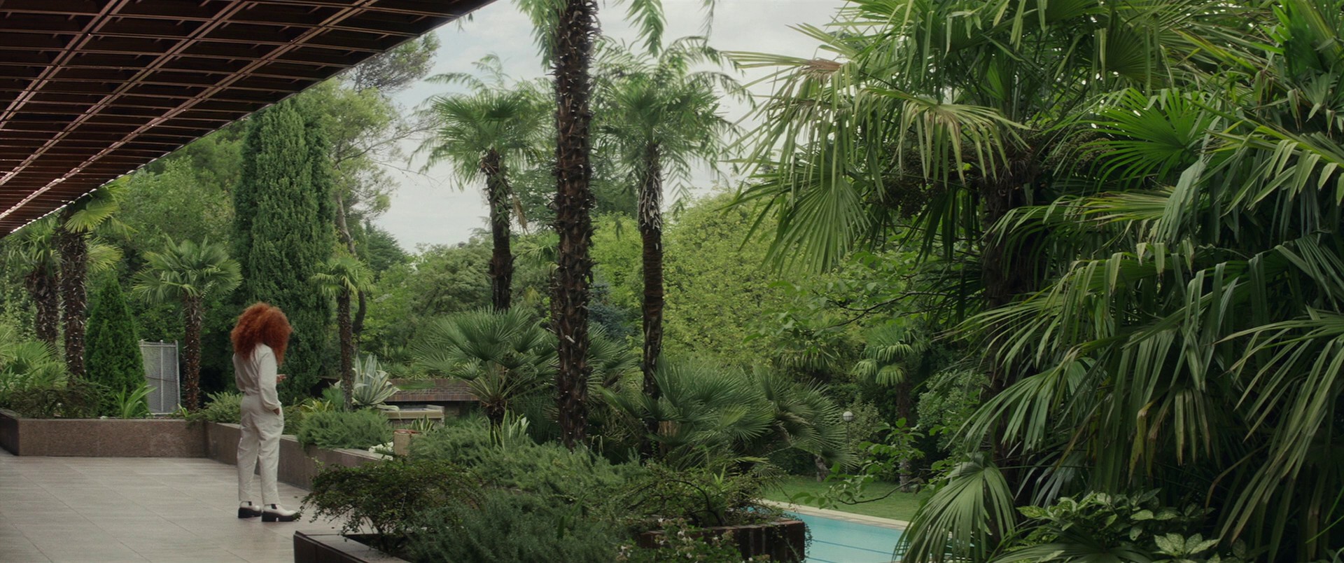 Official Competition (2022) —  shot,  lighting