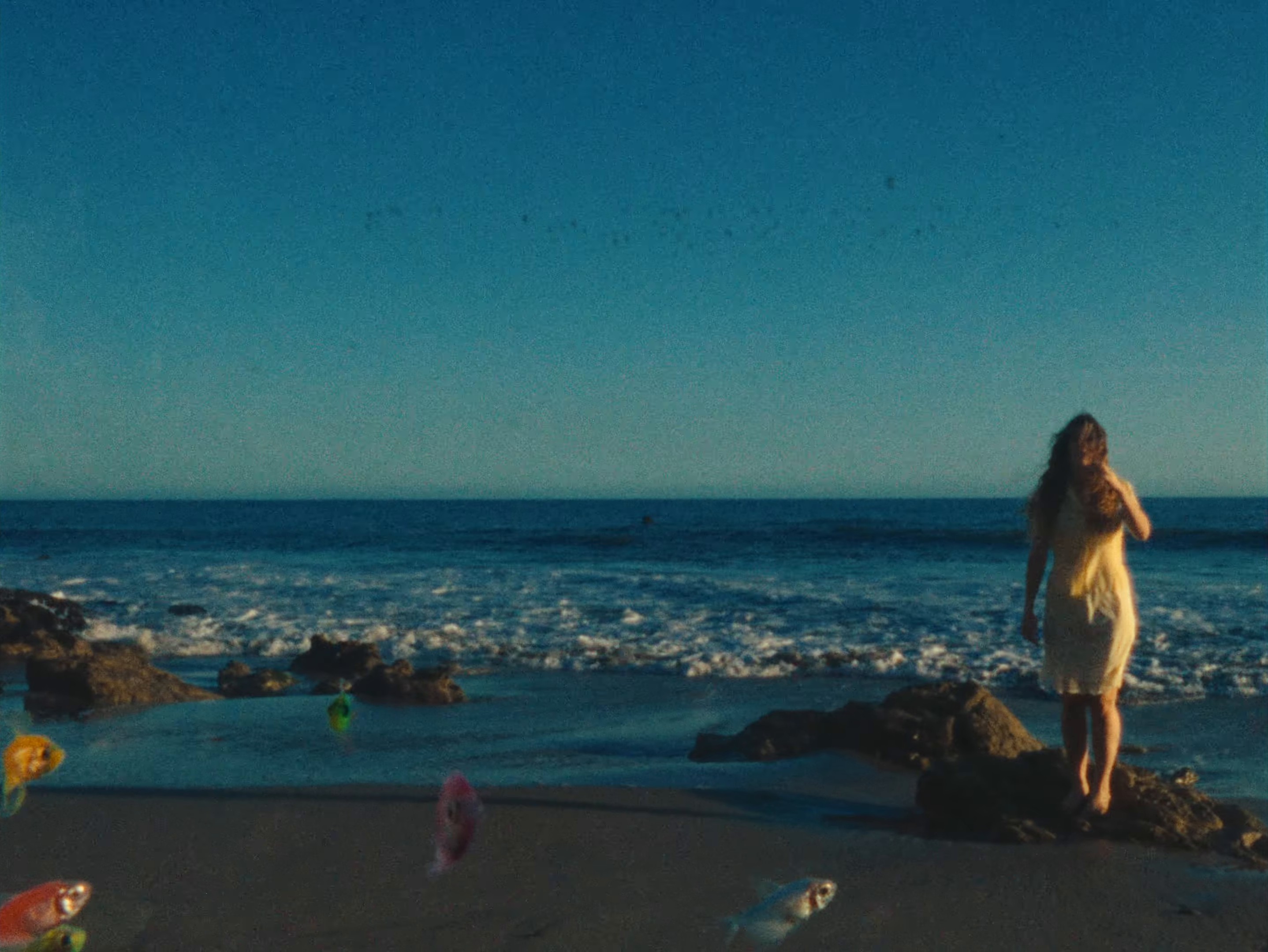Luz del Mar (2024) —  shot,  lighting
