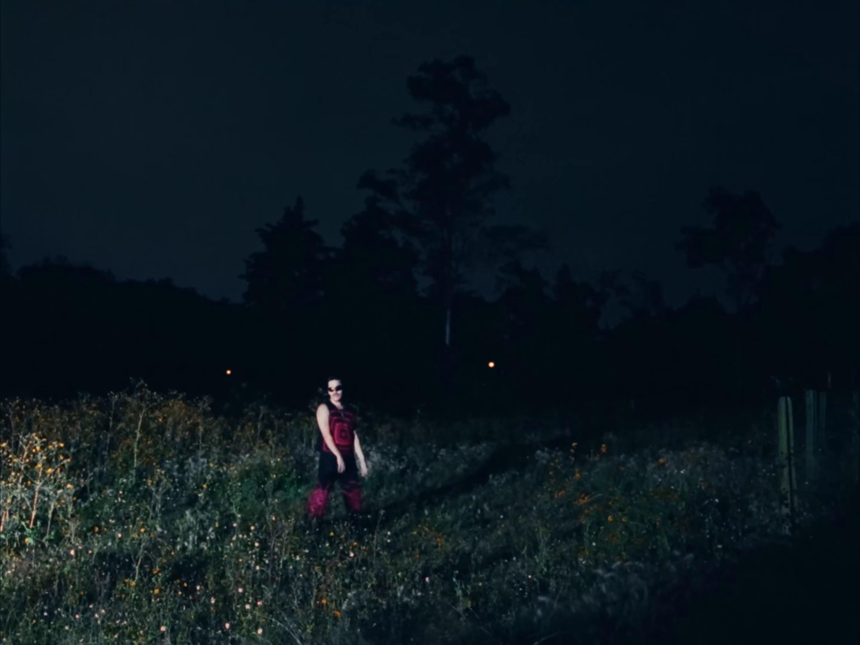 LOVELANGUAGE (2023) —  shot,  lighting