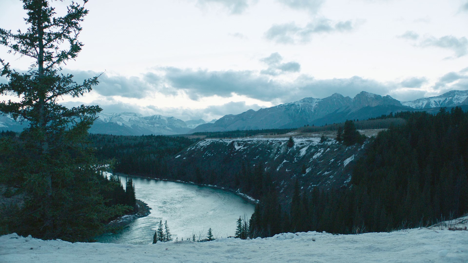 Kin (2023) —  shot,  lighting