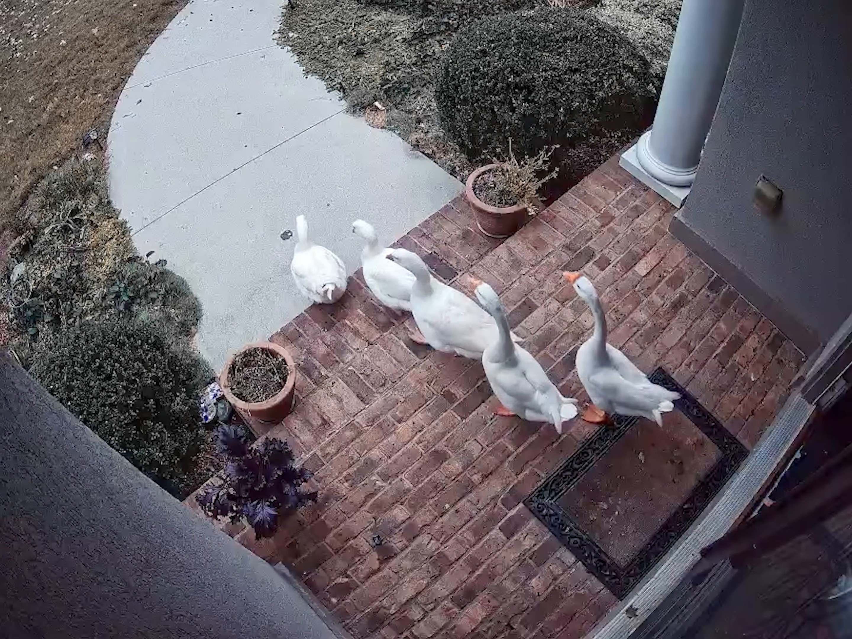 Hello Miss Johnson (2024) —  shot,  lighting