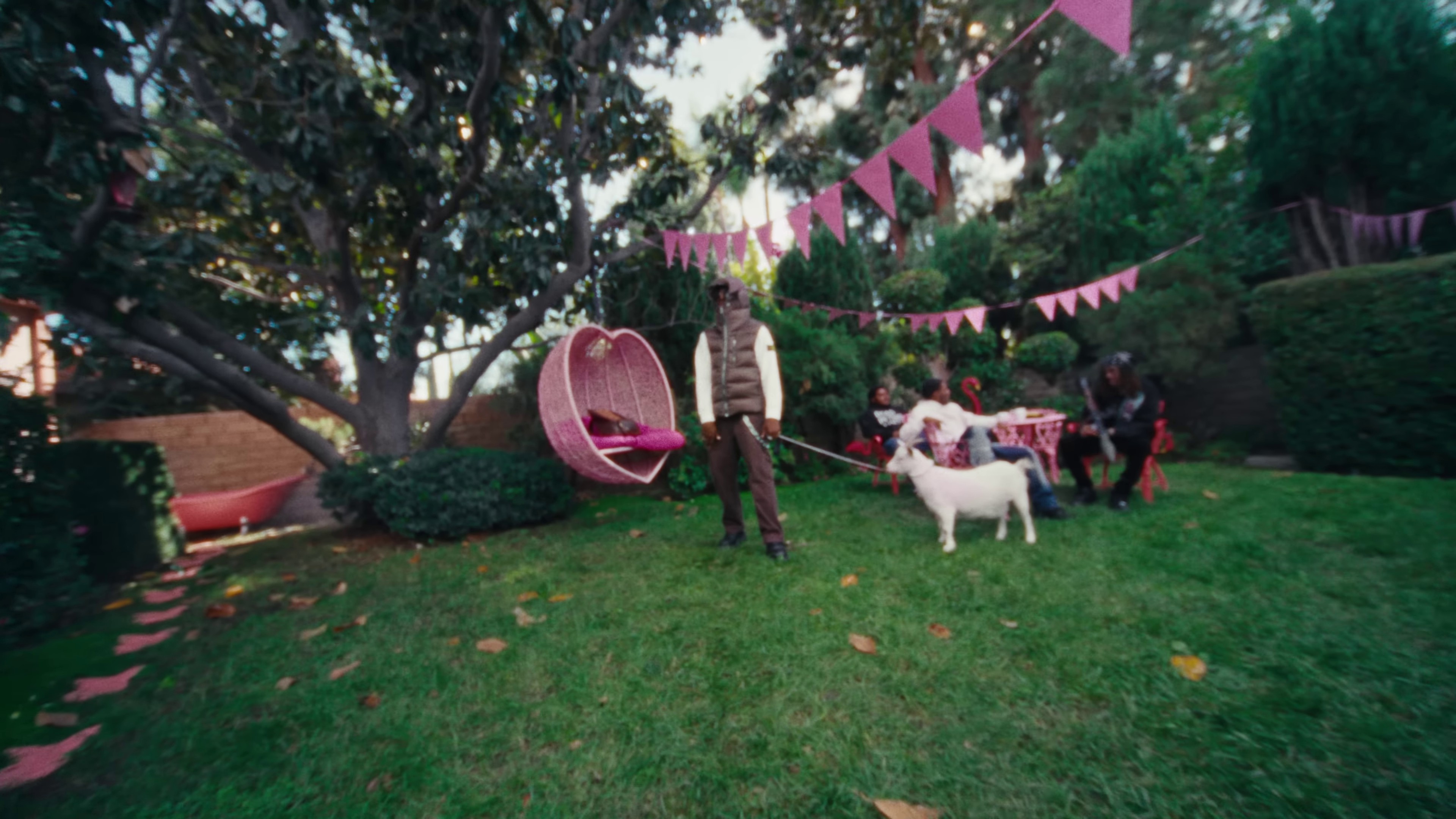 Simple  (2022) —  shot,  lighting