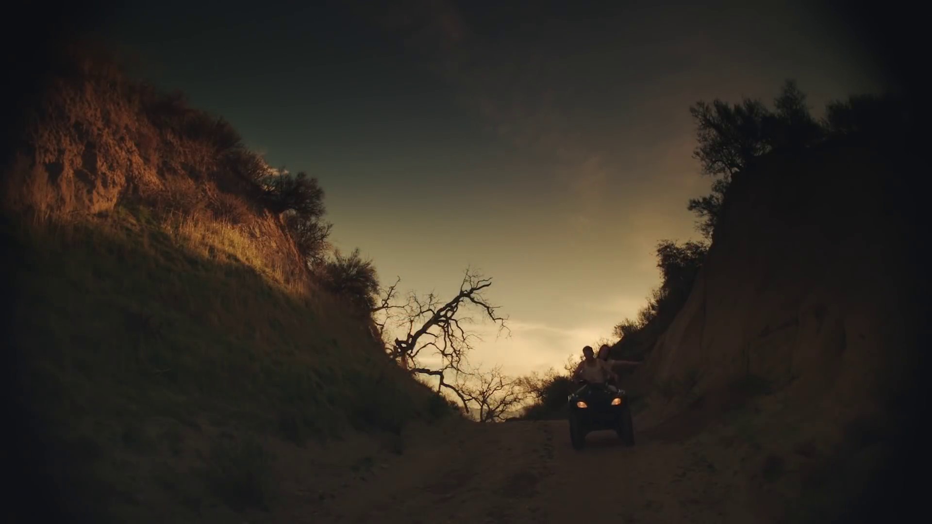 Describe (2020) —  shot,  lighting