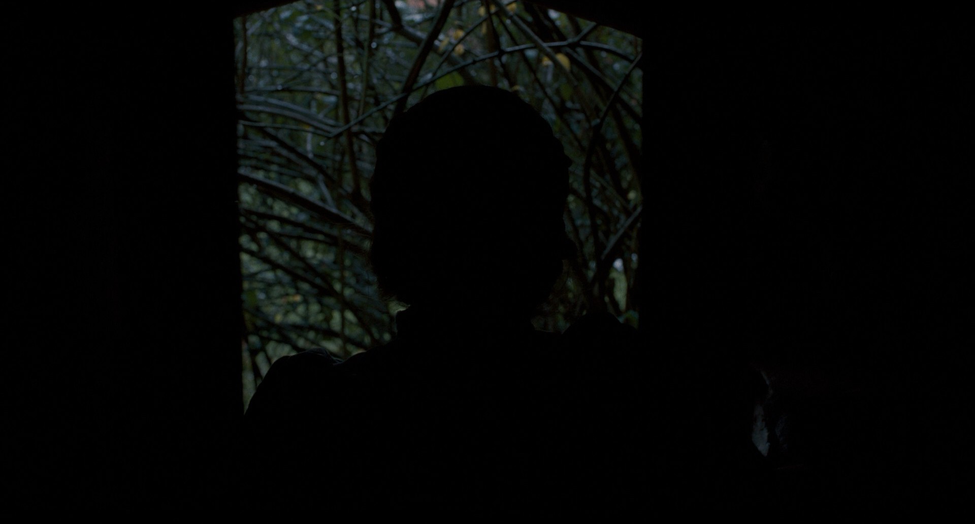 Jane Eyre (2011) —  shot,  lighting