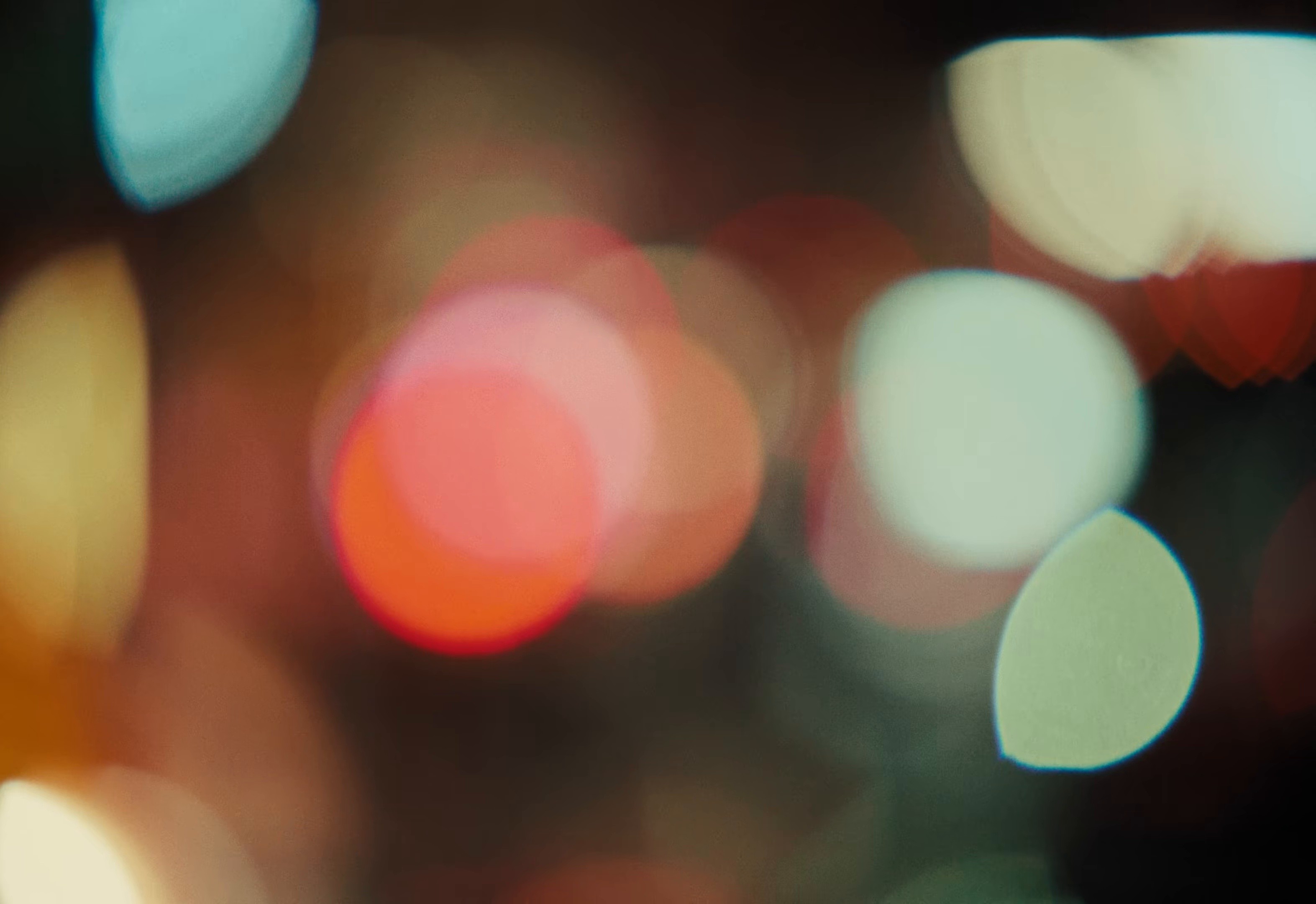 EVERYONE'S A STAR! (2025) —  shot,  lighting