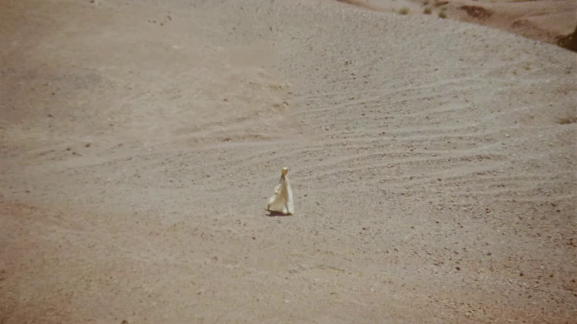 Staifia (2023) —  shot,  lighting