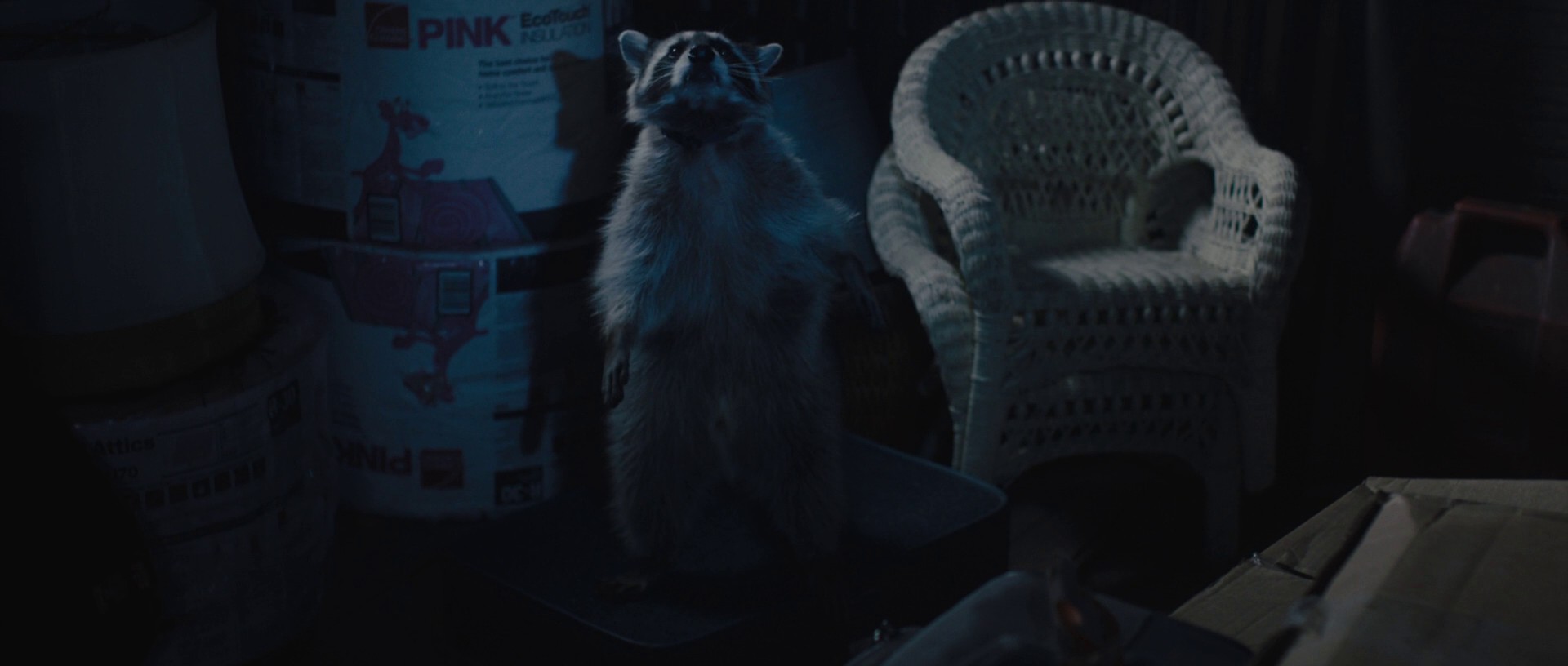 Wakefield (2017) —  shot,  lighting