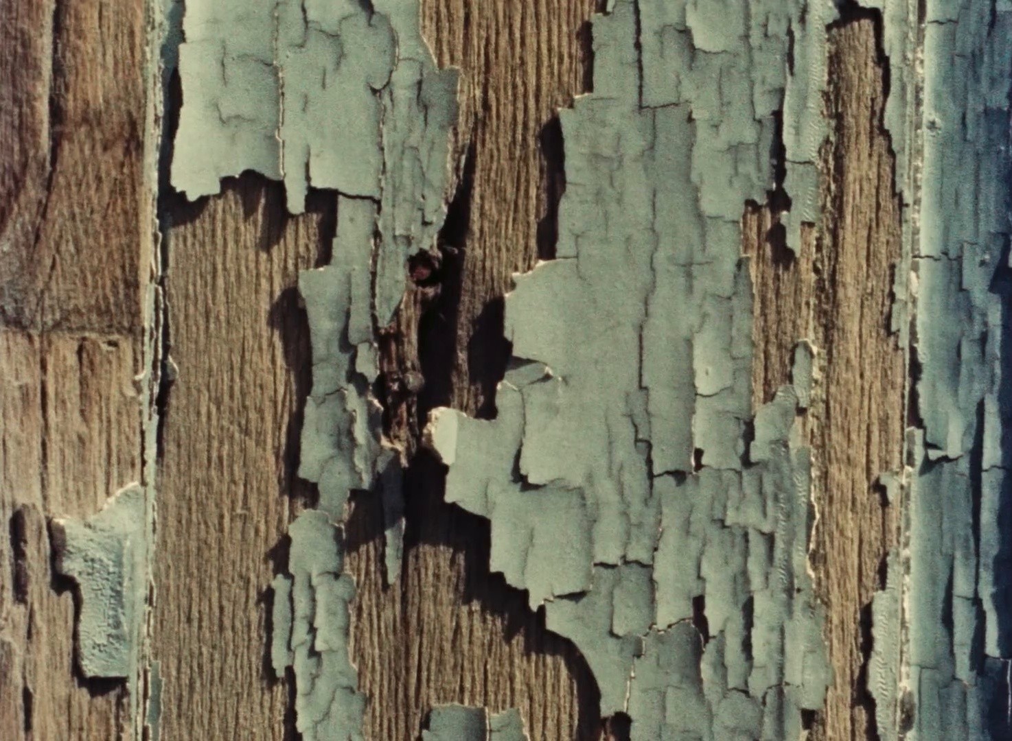 How to Make Use of Leisure Time (1977) —  shot,  lighting