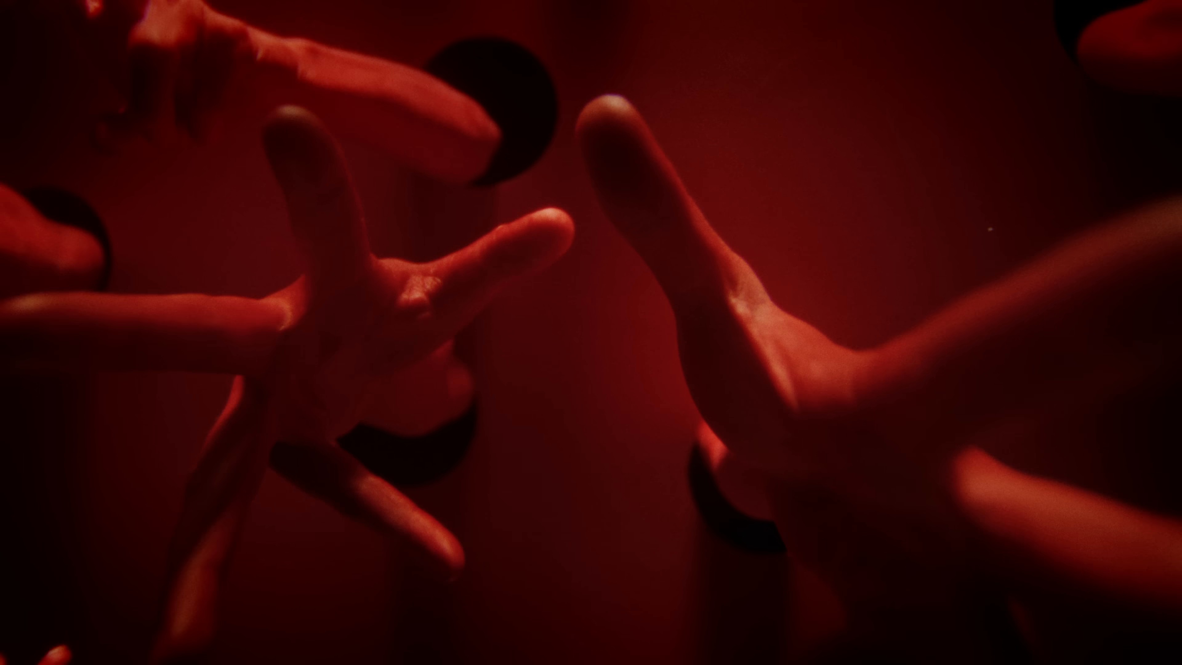 Starvation (2024) —  shot,  lighting