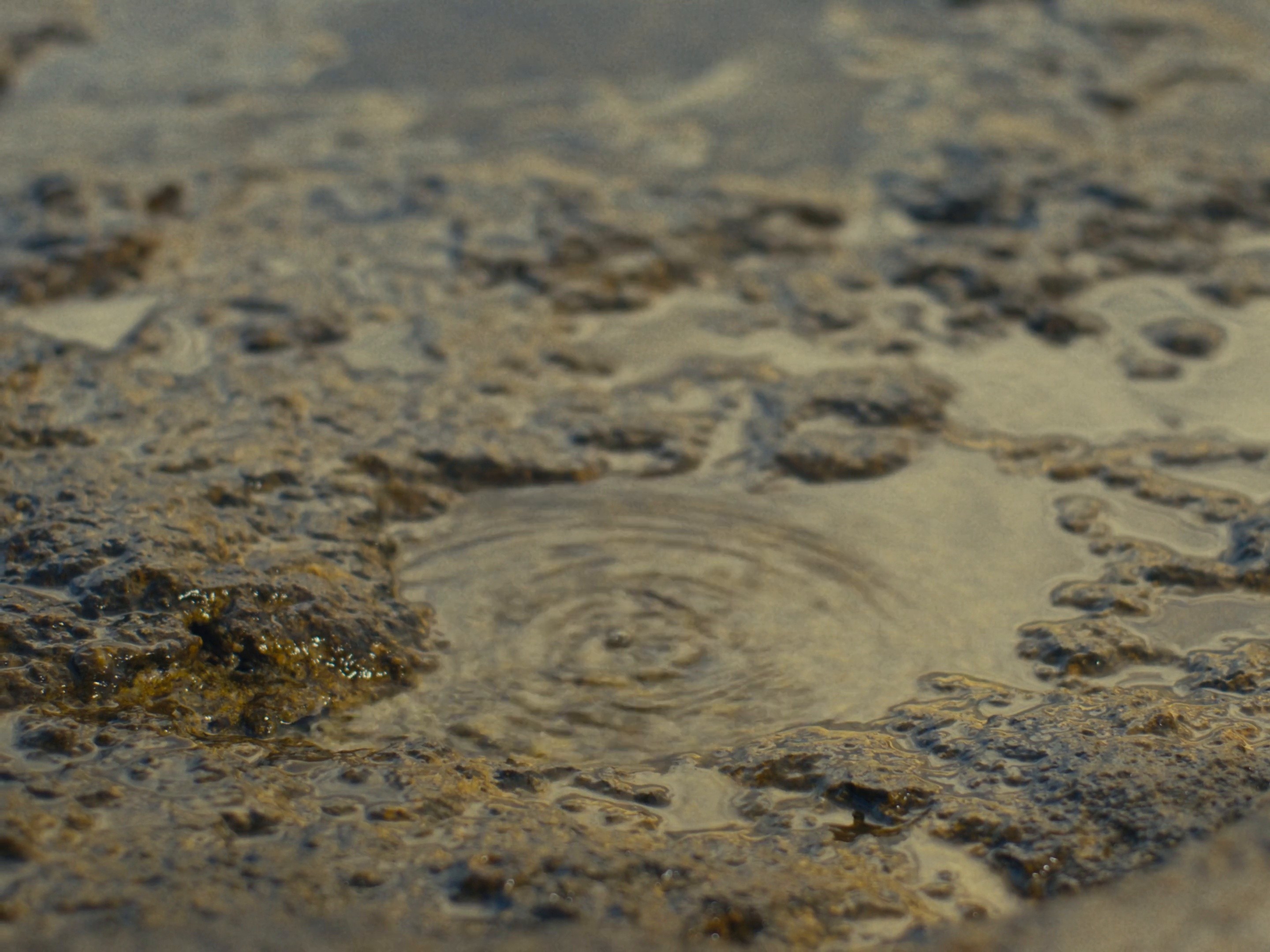 ALUSTRE x Mihail Tabakakis (2024) —  shot,  lighting