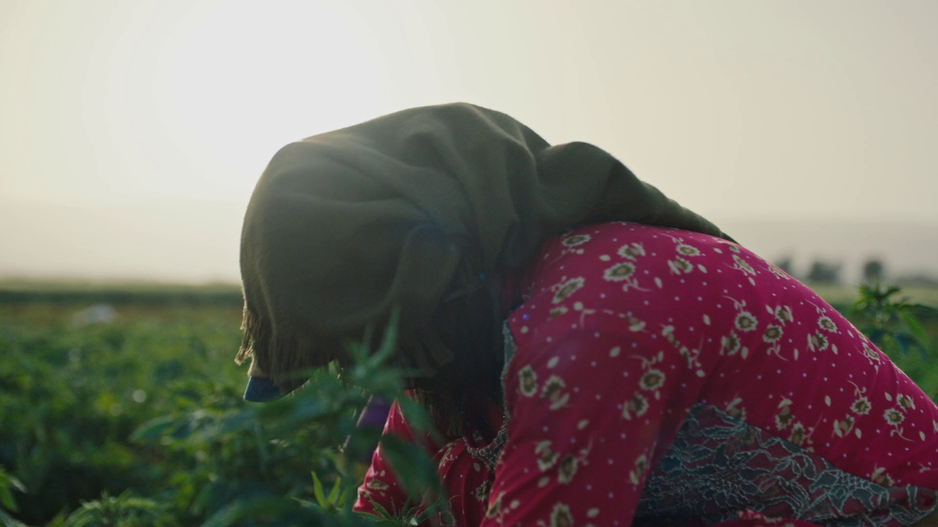 Heart Of Sky (2018) —  shot,  lighting