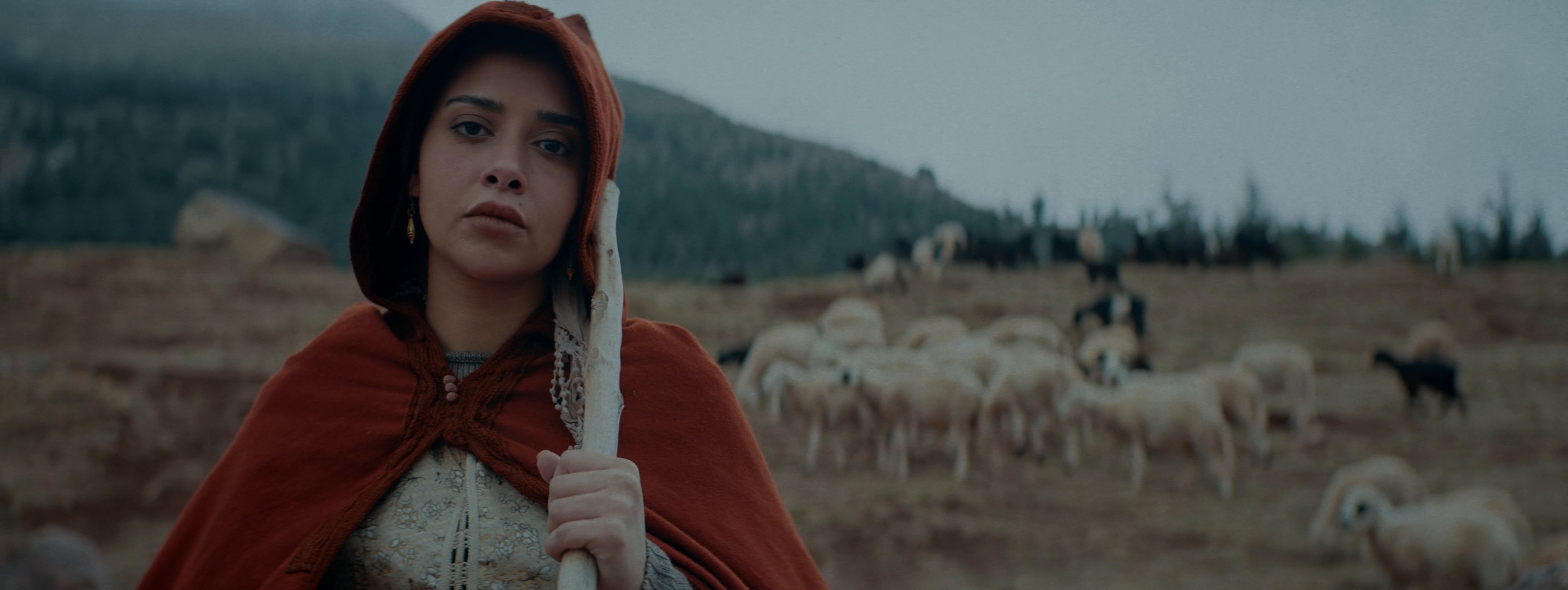 Sabra (2022) —  shot,  lighting