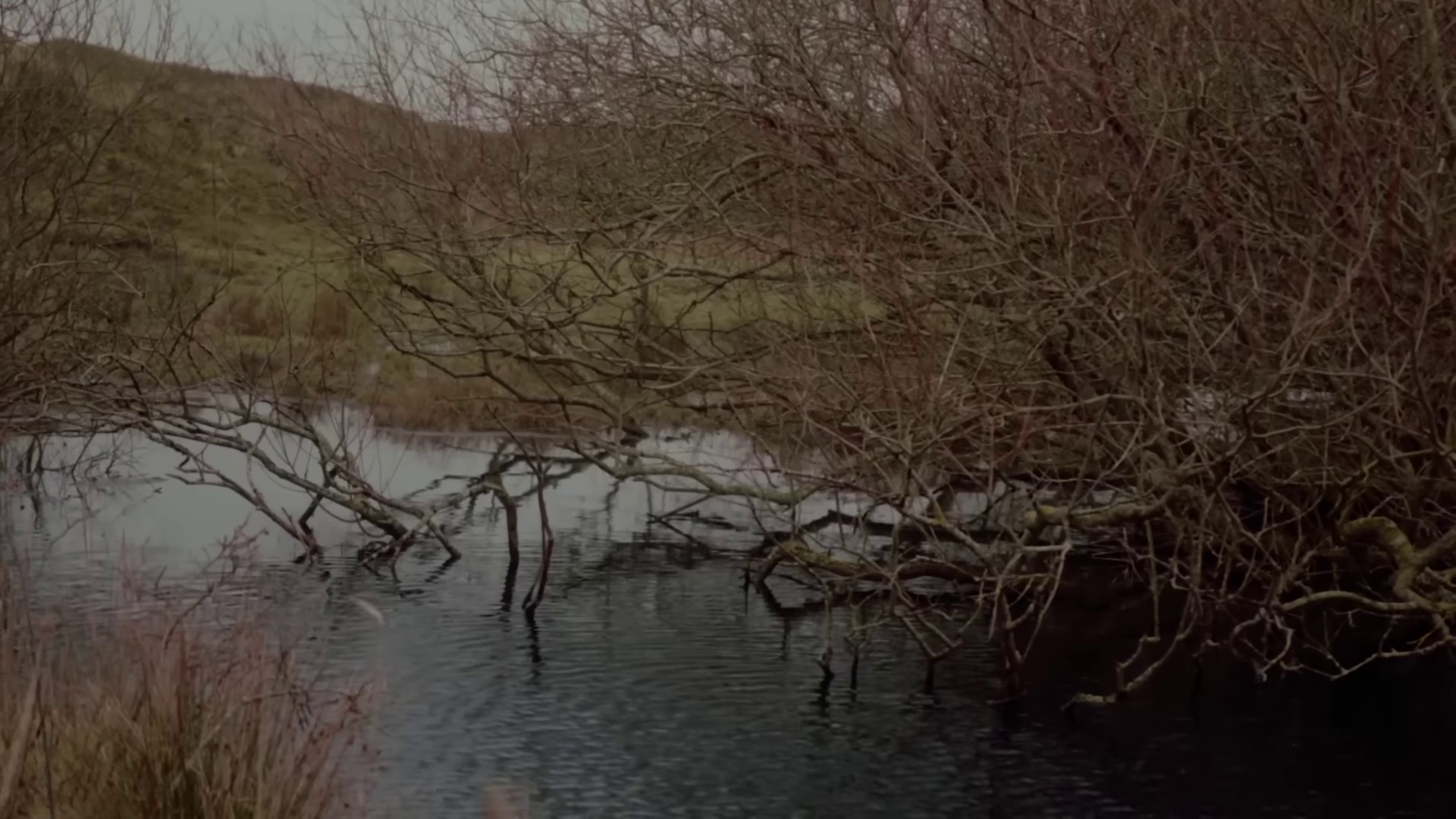 Into Your Arms (2024) —  shot,  lighting