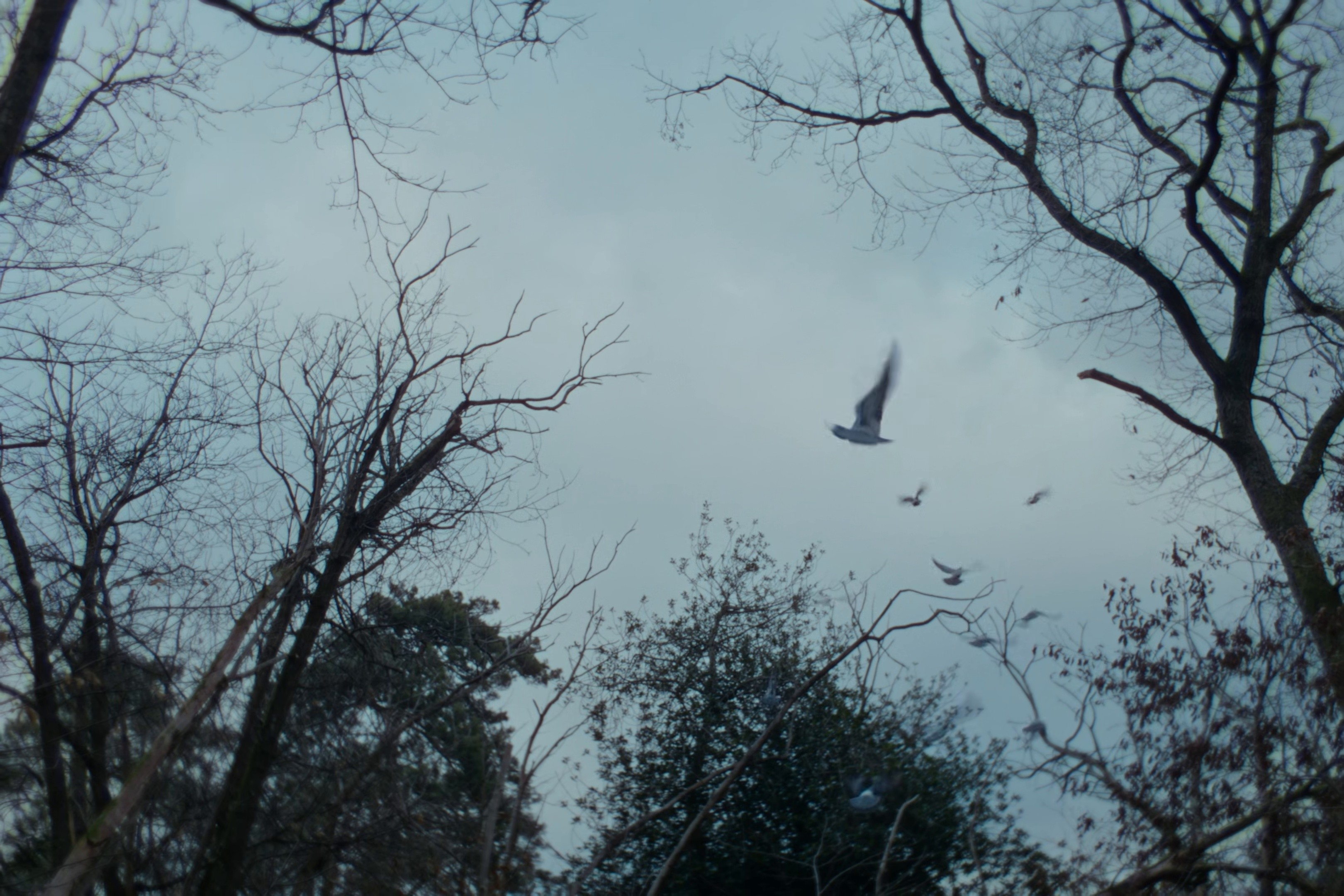 Feel So Good Around U (2026) —  shot,  lighting