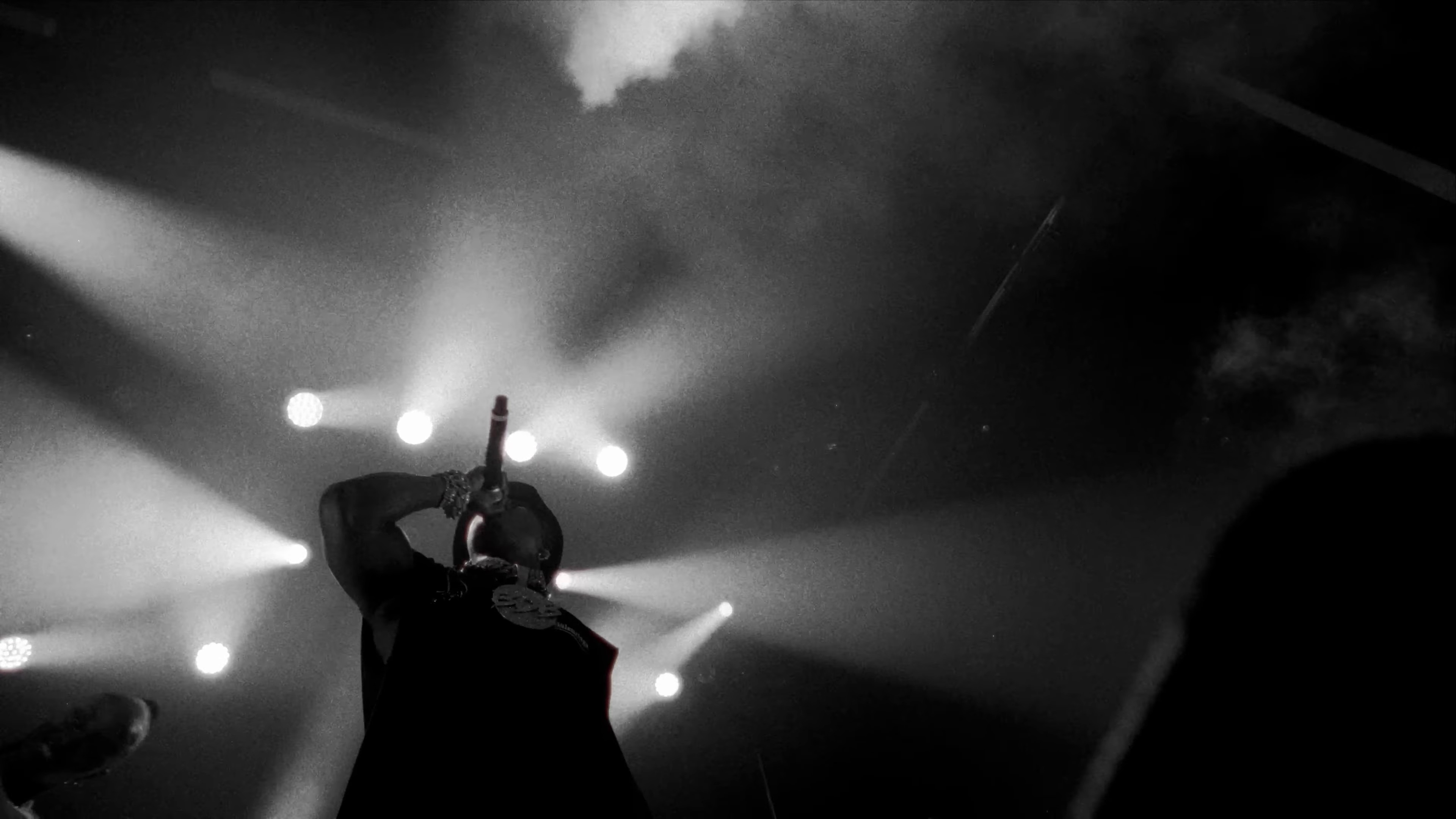 REINTRODUCTION (2024) —  shot,  lighting