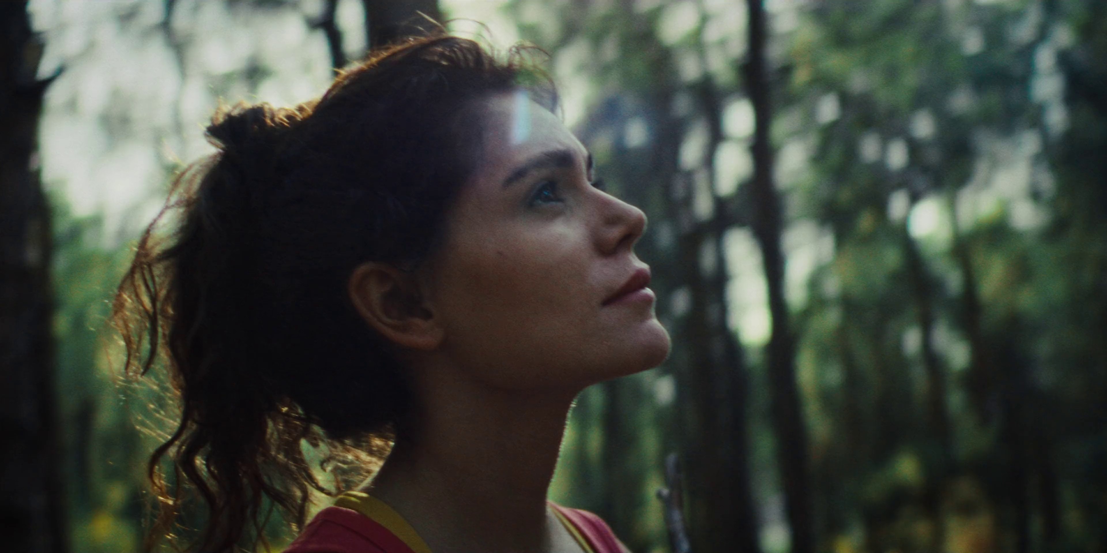 Antibrumm "Into the woods" DC (2024) —  shot,  lighting