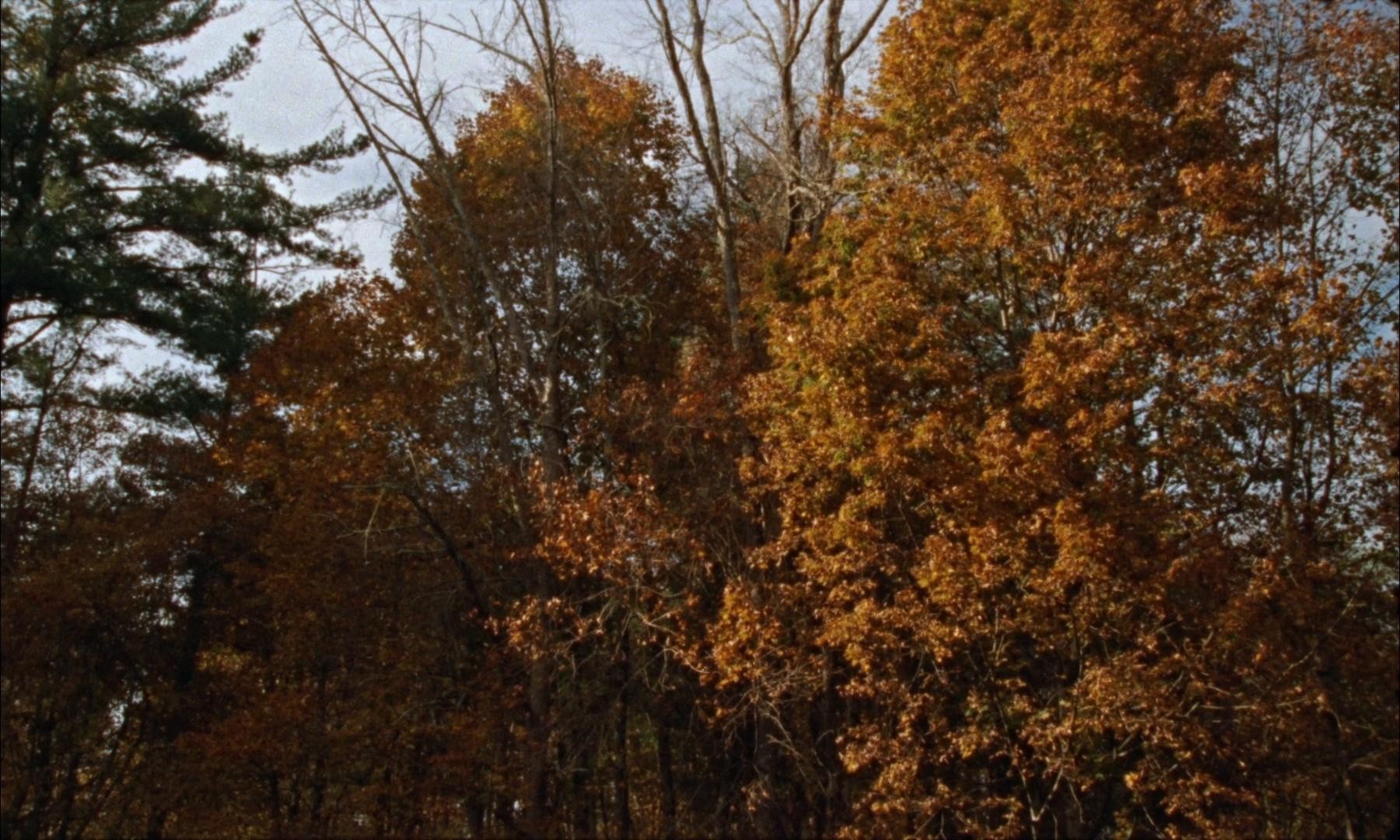 Invention (2025) —  shot,  lighting