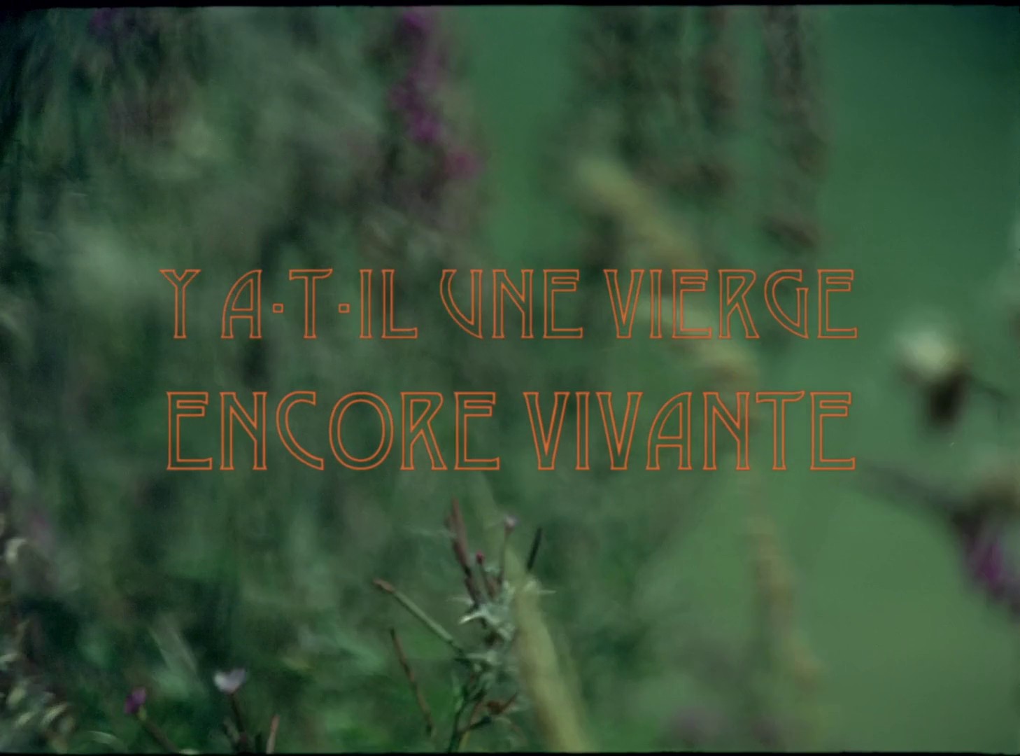 Y a-t-il une vierge encore vivante? (2015) —  shot,  lighting