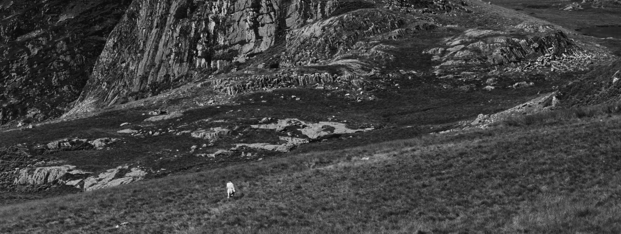 Harm (2021) —  shot,  lighting