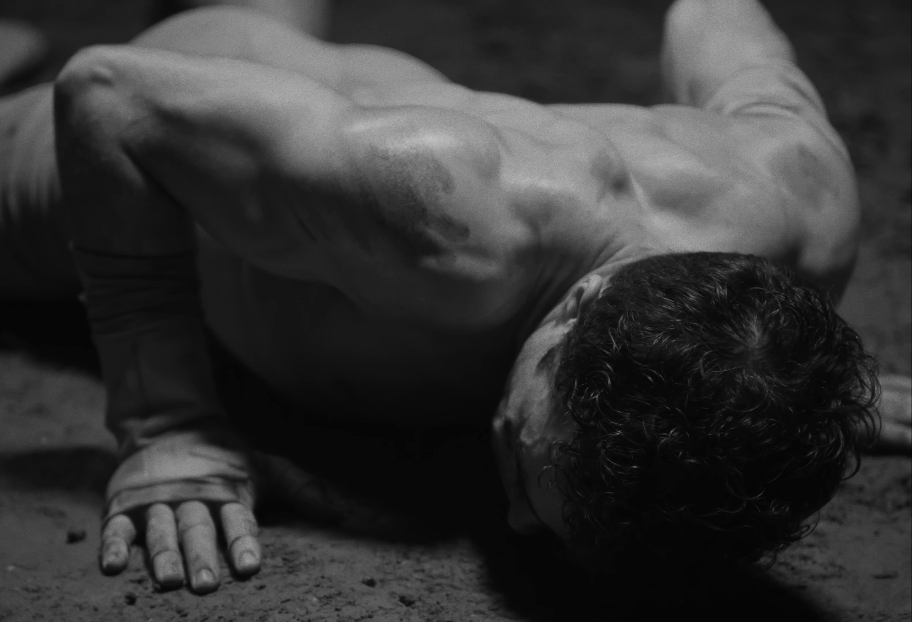 Open Fields (2025) —  shot,  lighting