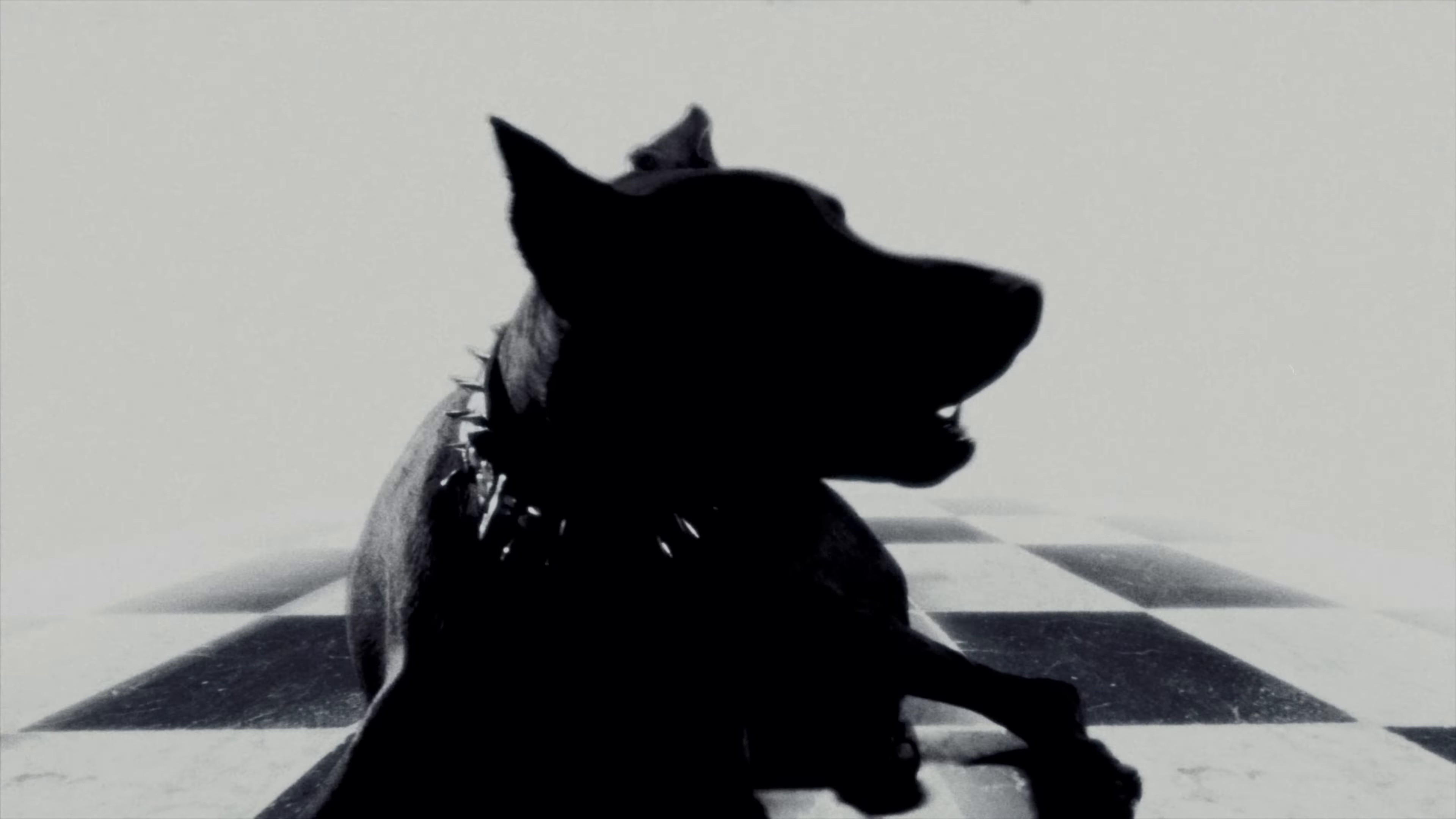 FASHION DESIGNA (2025) —  shot,  lighting