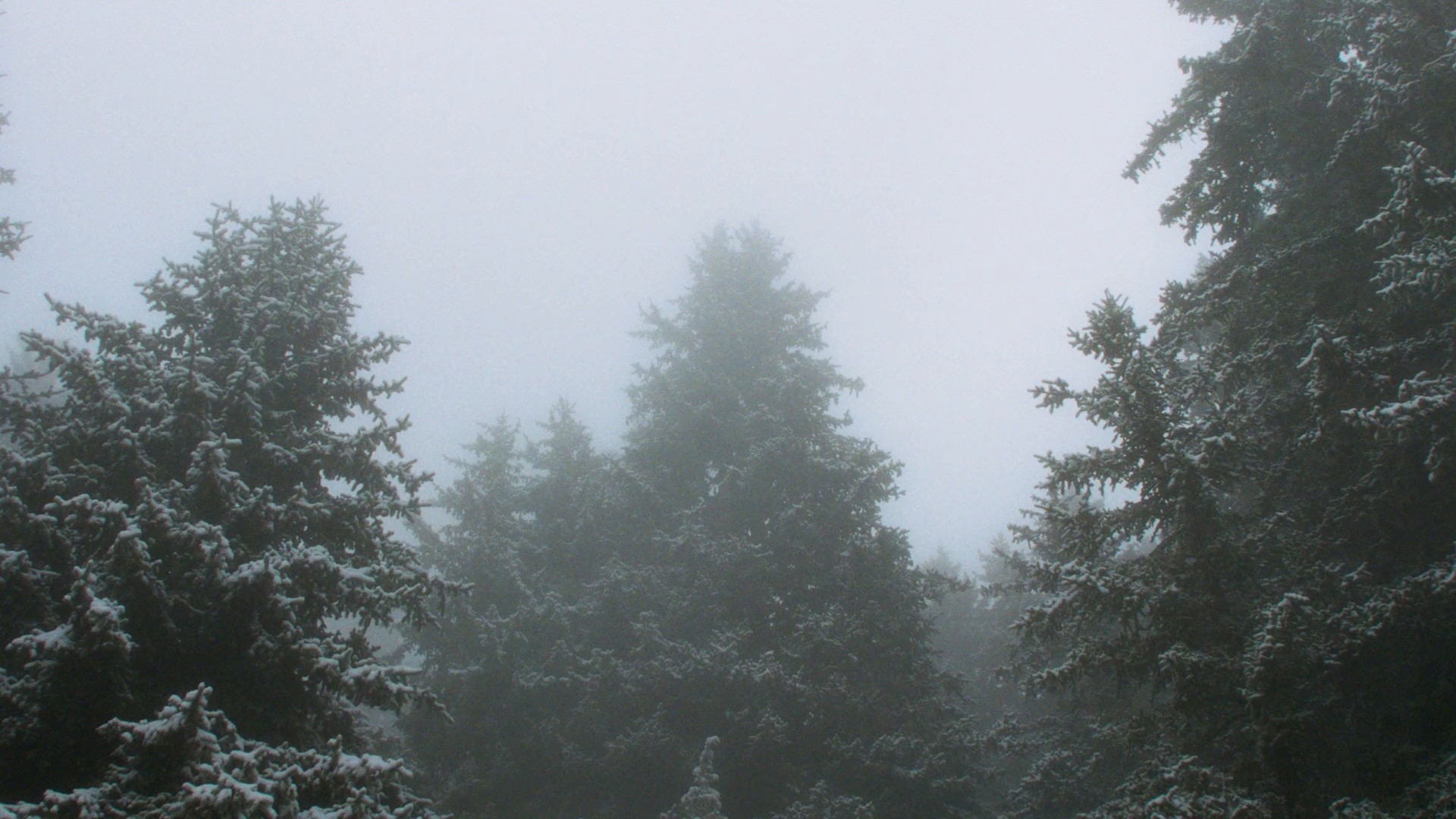 MASSIMO DUTTI - STINI ROEHRS (2025) —  shot,  lighting