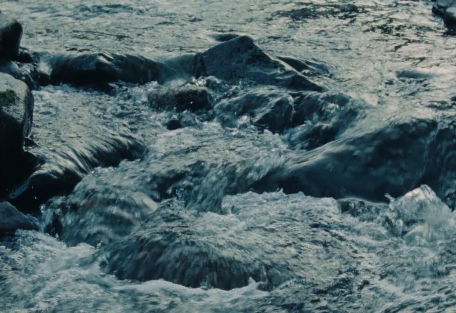 L.Y.A.T.T. (2025) —  shot,  lighting