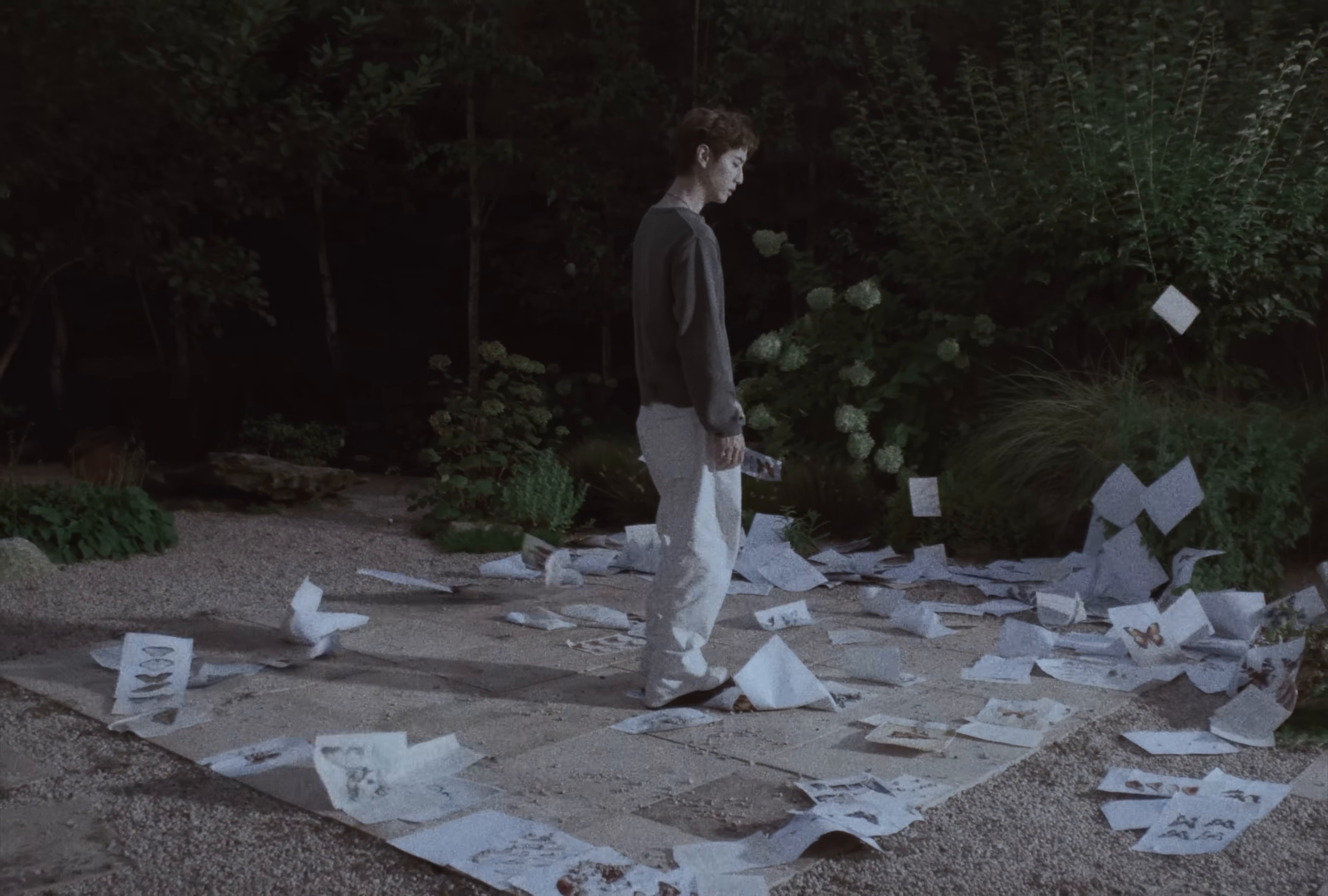 Sunsets & Cigarettes (2025) —  shot,  lighting